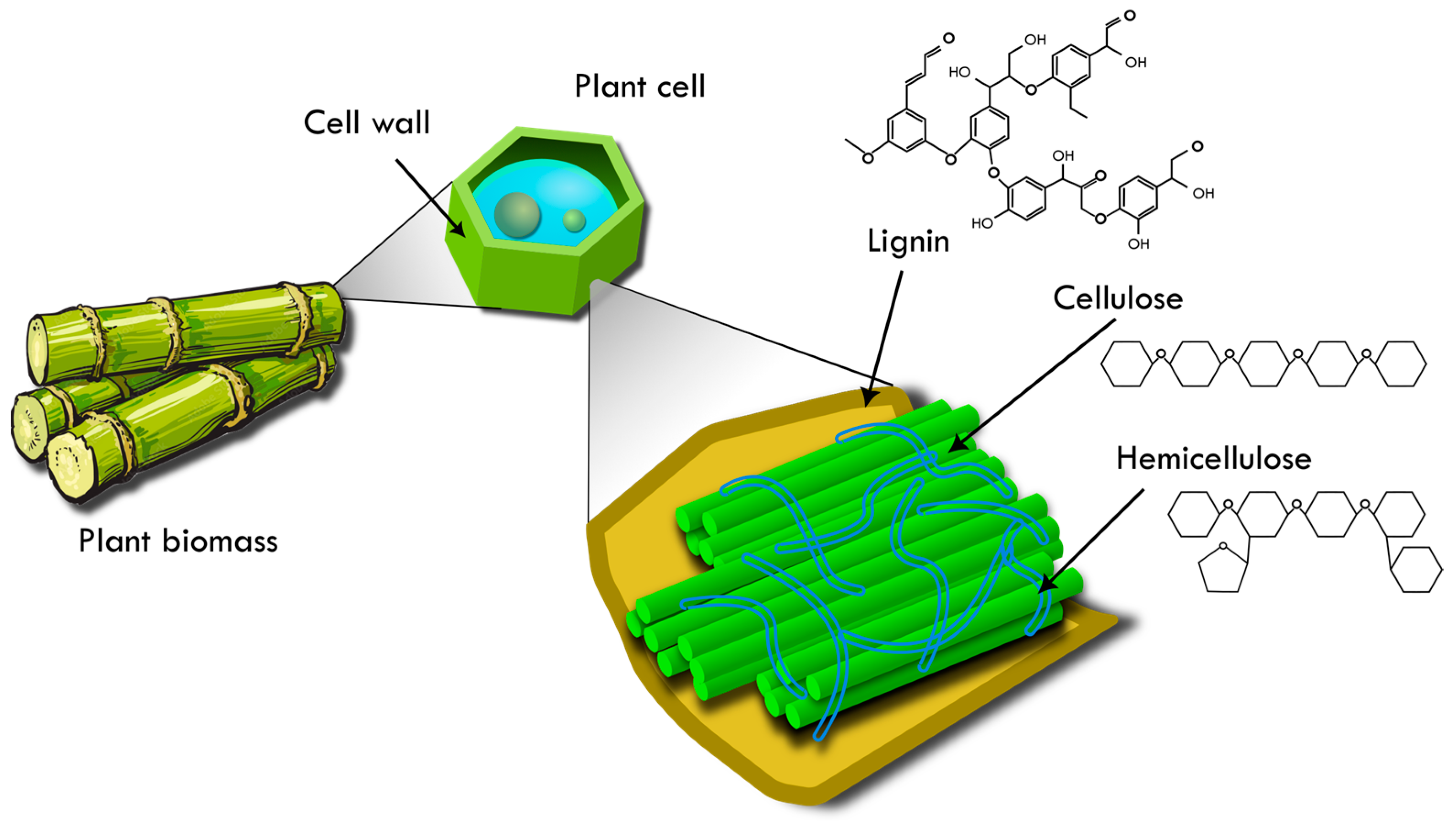 Catalysts 15 00030 g001