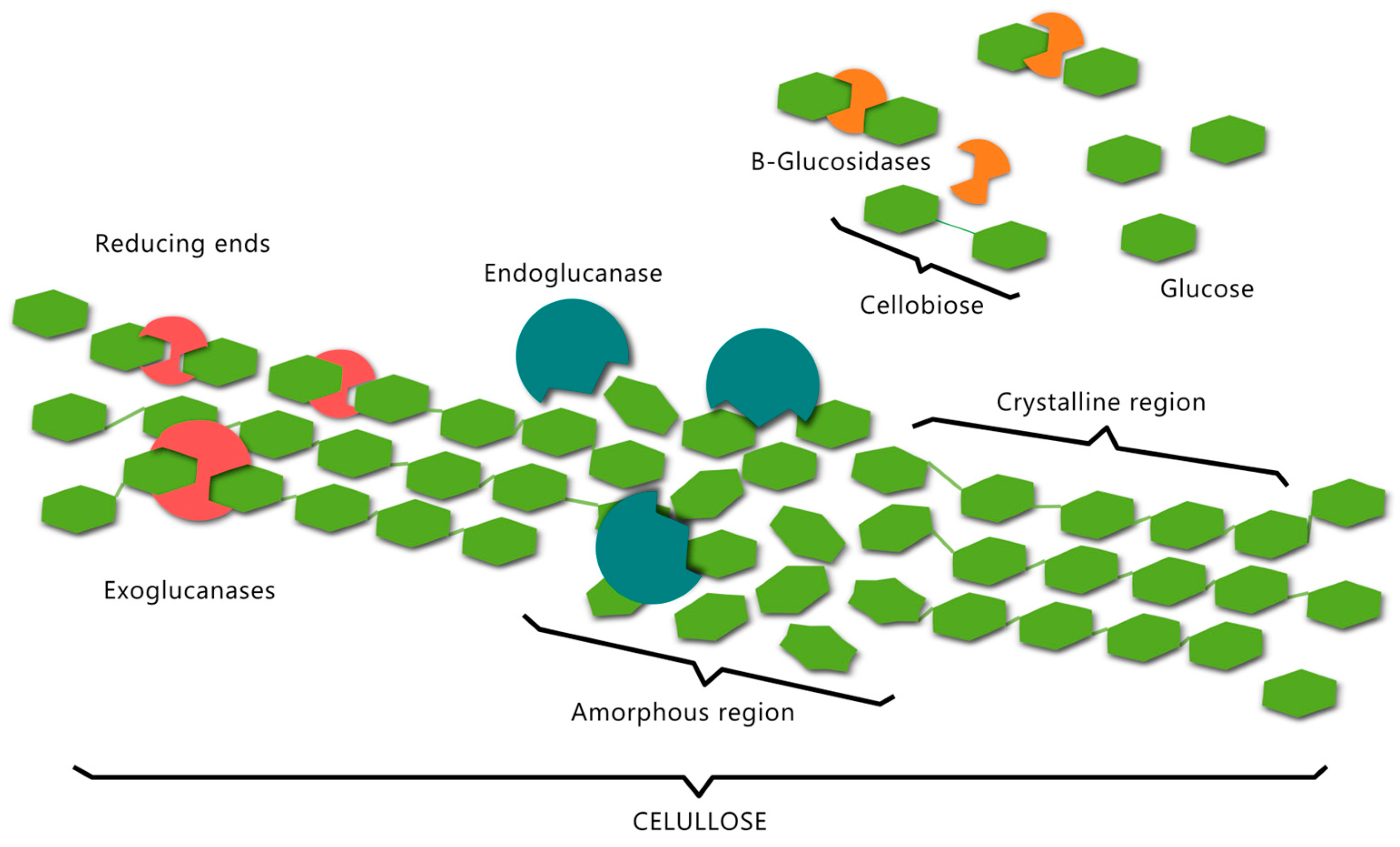 Catalysts 15 00030 g002