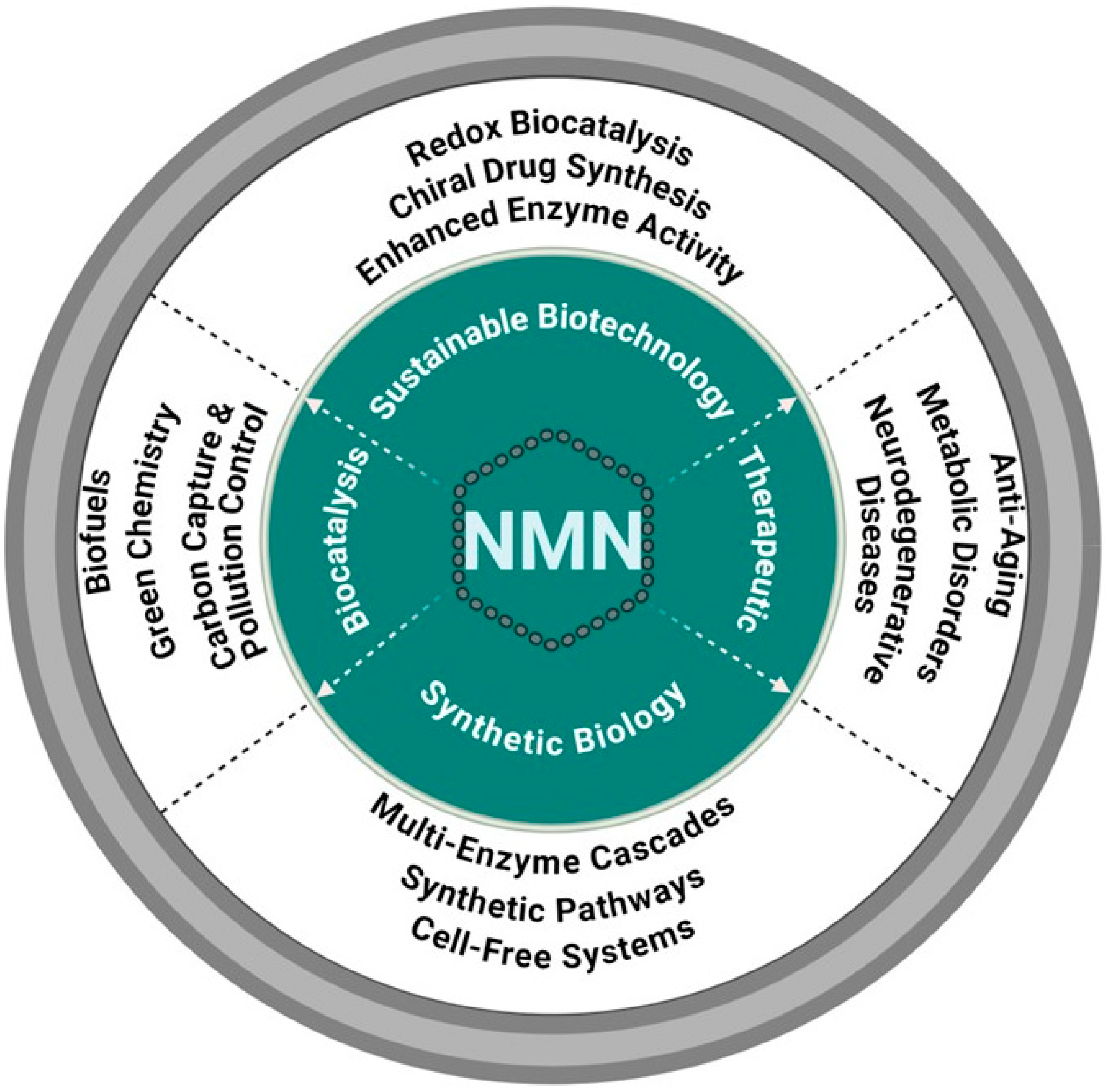 Catalysts 15 00037 g001