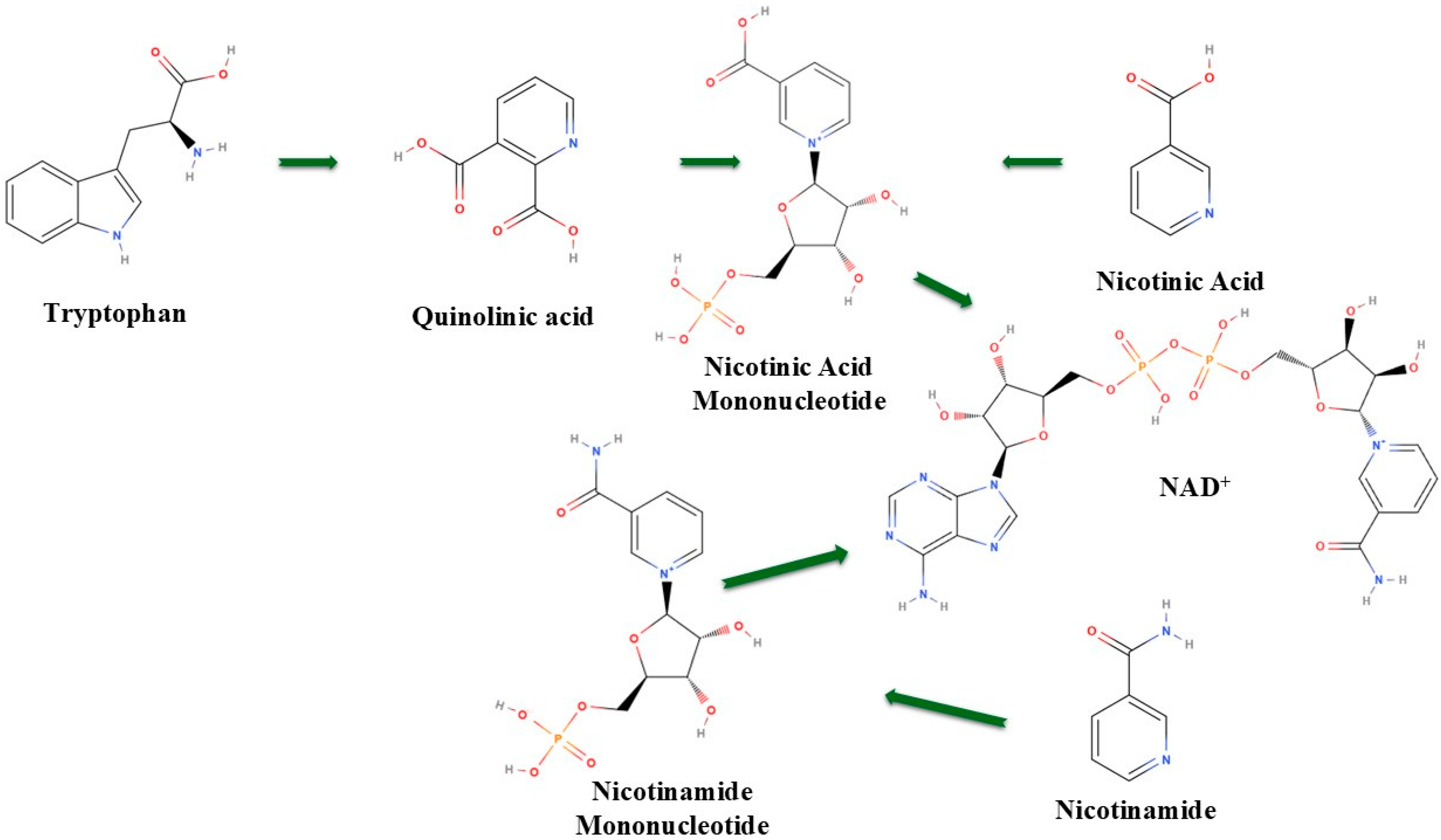 Catalysts 15 00037 g002