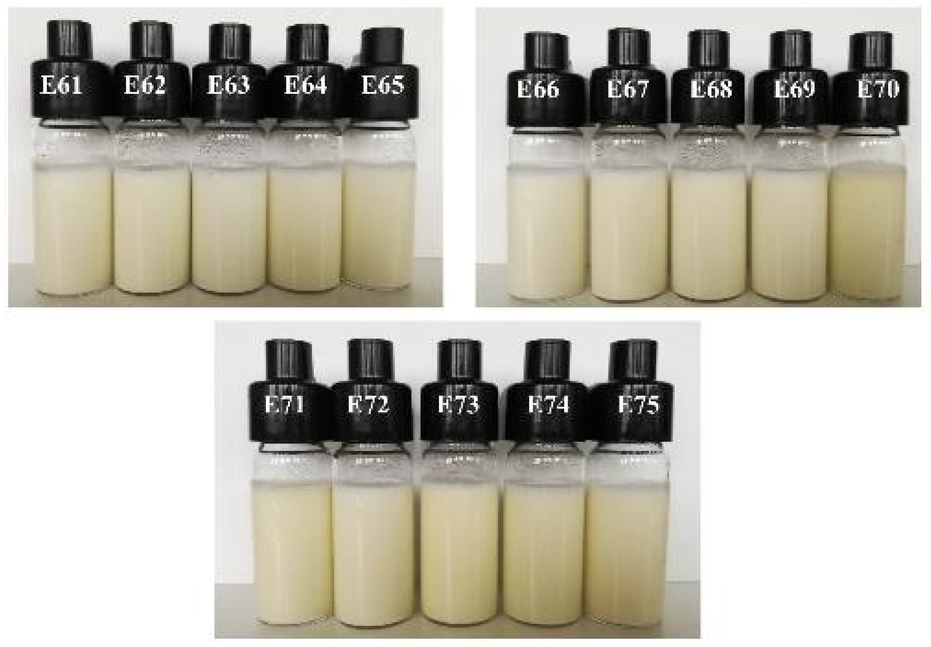 Catalysts 15 00041 g003