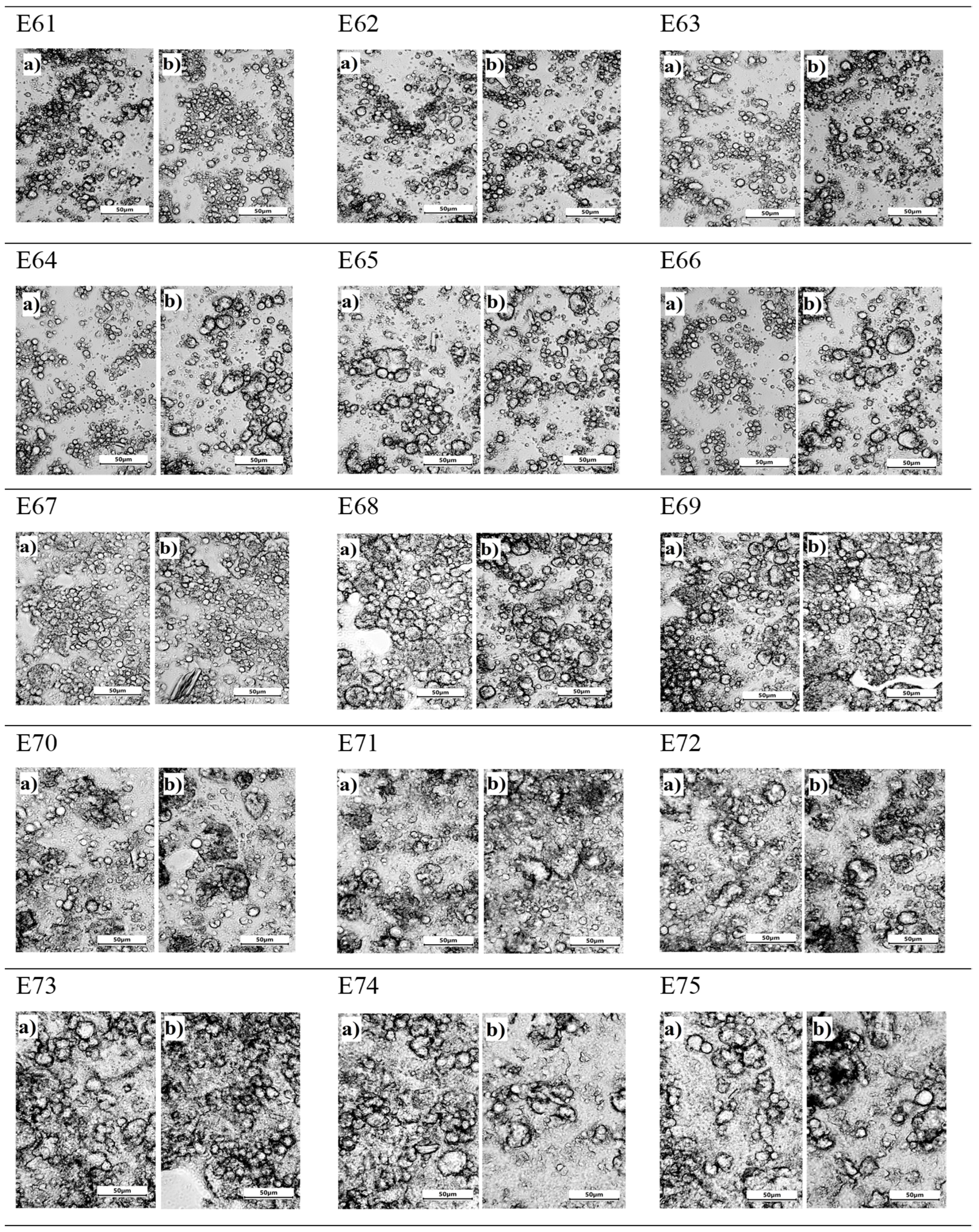 Catalysts 15 00041 g004