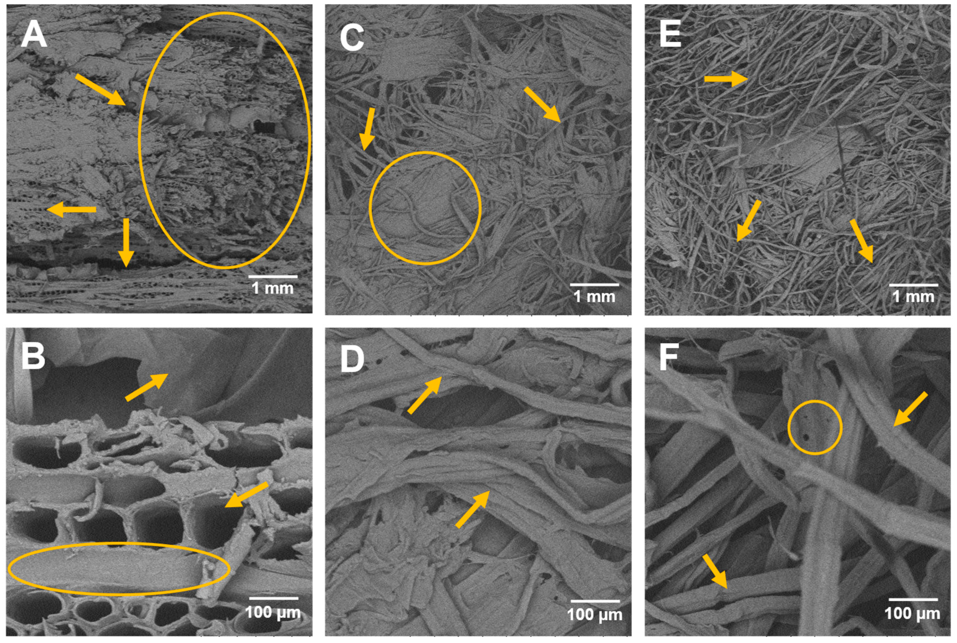 Catalysts 15 00047 g001 Catalysts 15 00047 g001