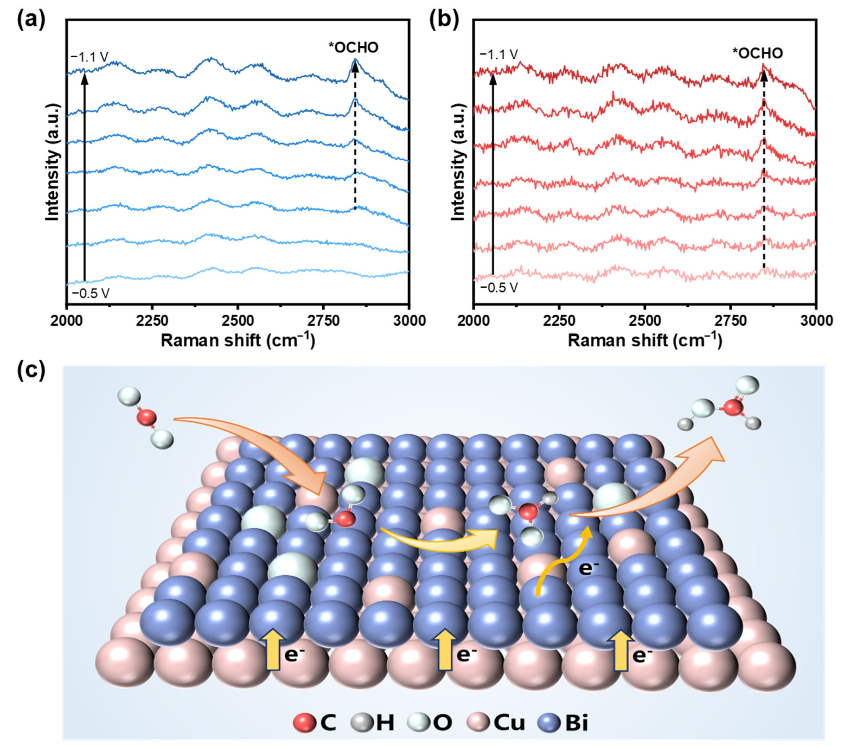 Catalysts 15 00052 g005