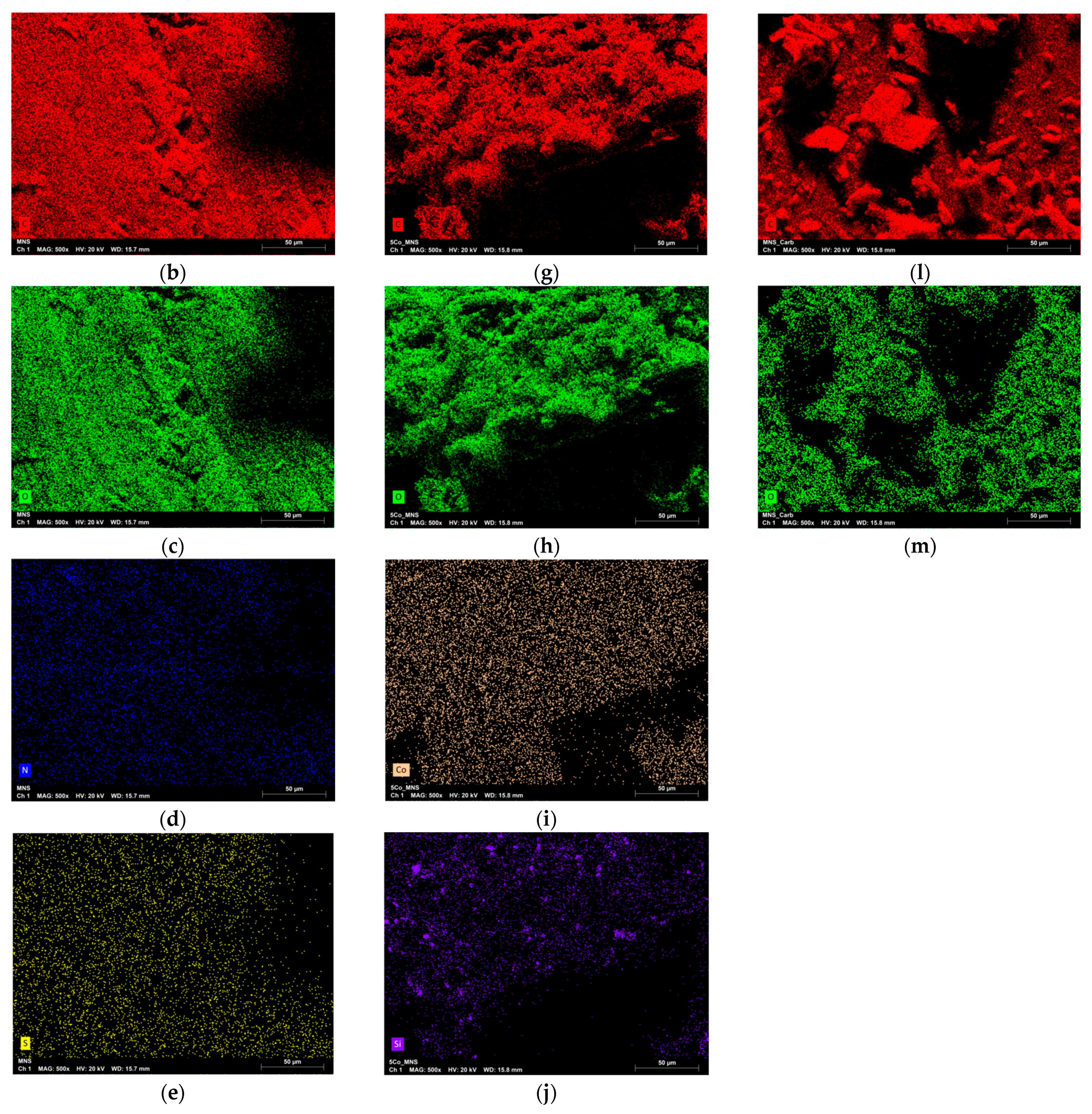 Catalysts 15 00062 g002b