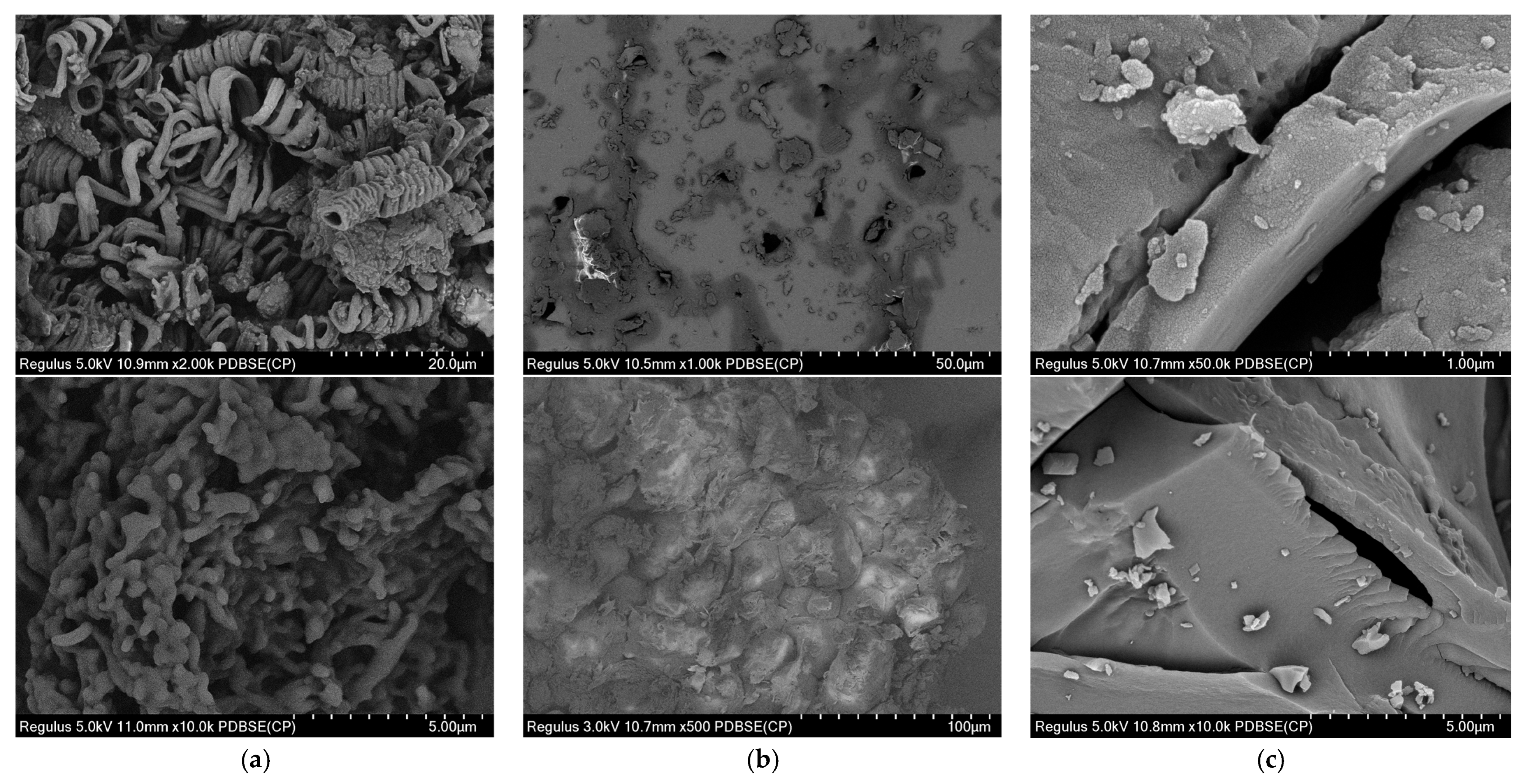 Catalysts 15 00062 g003
