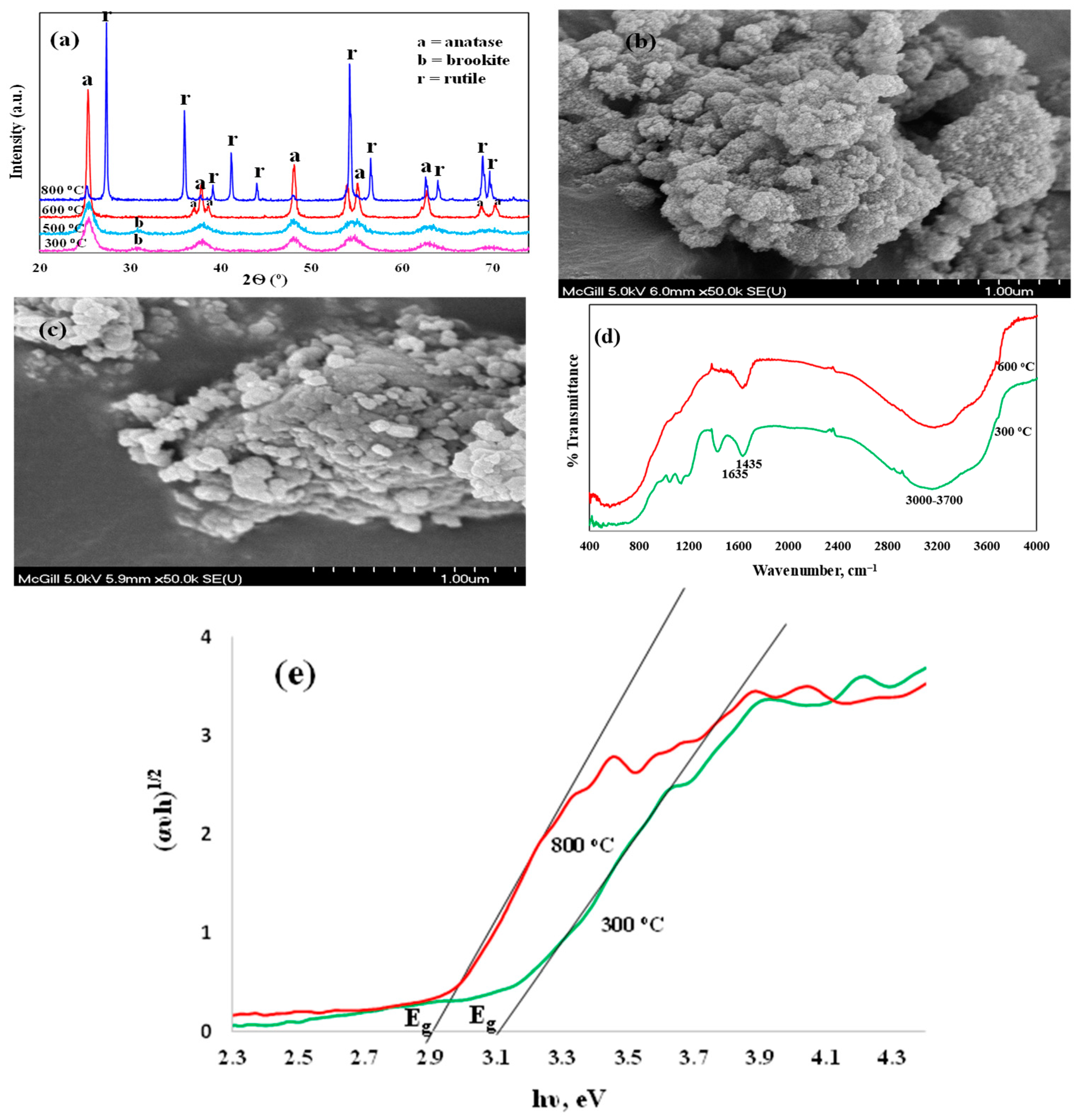 Catalysts 15 00064 g001