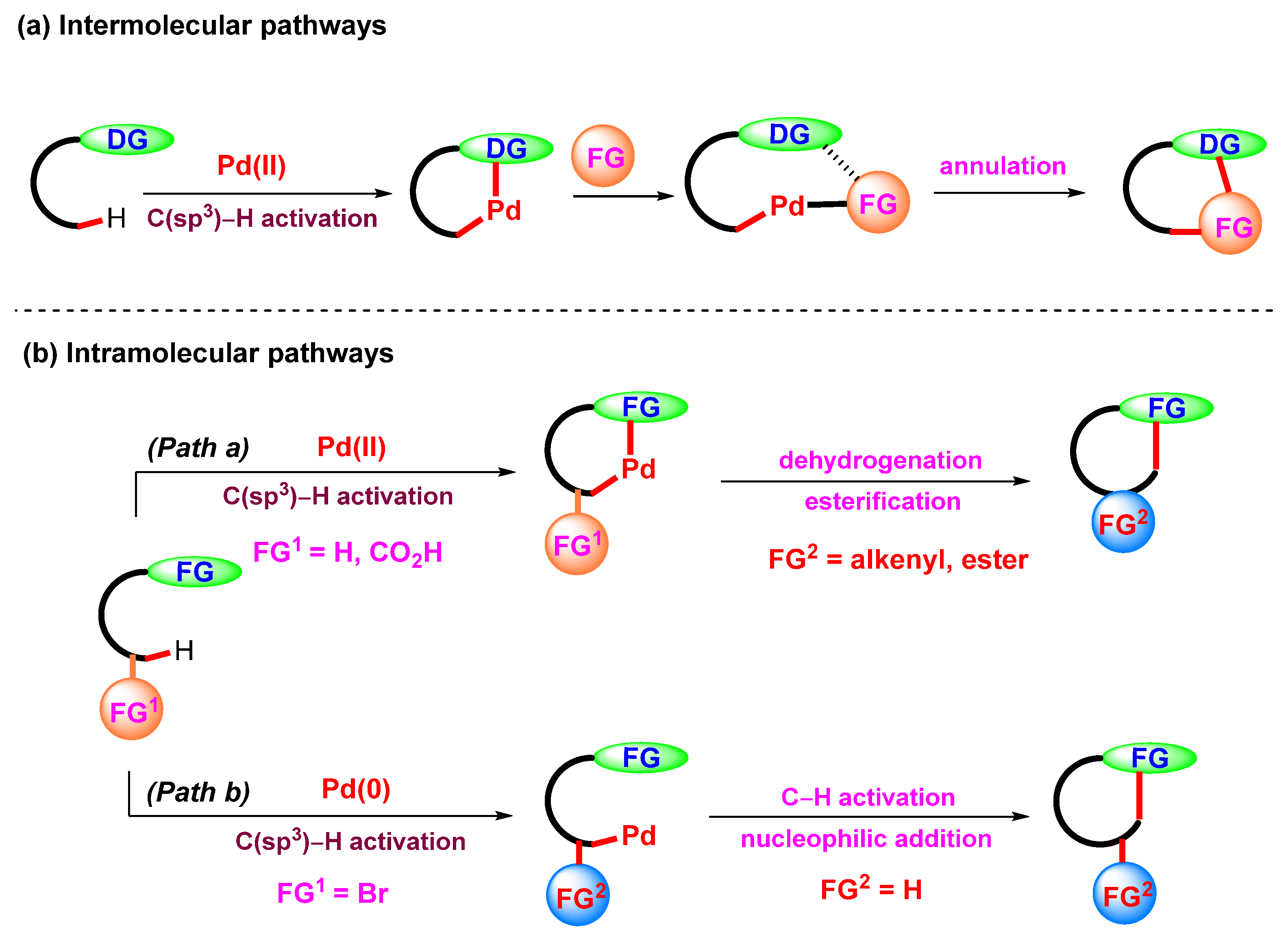 Catalysts 15 00072 g001