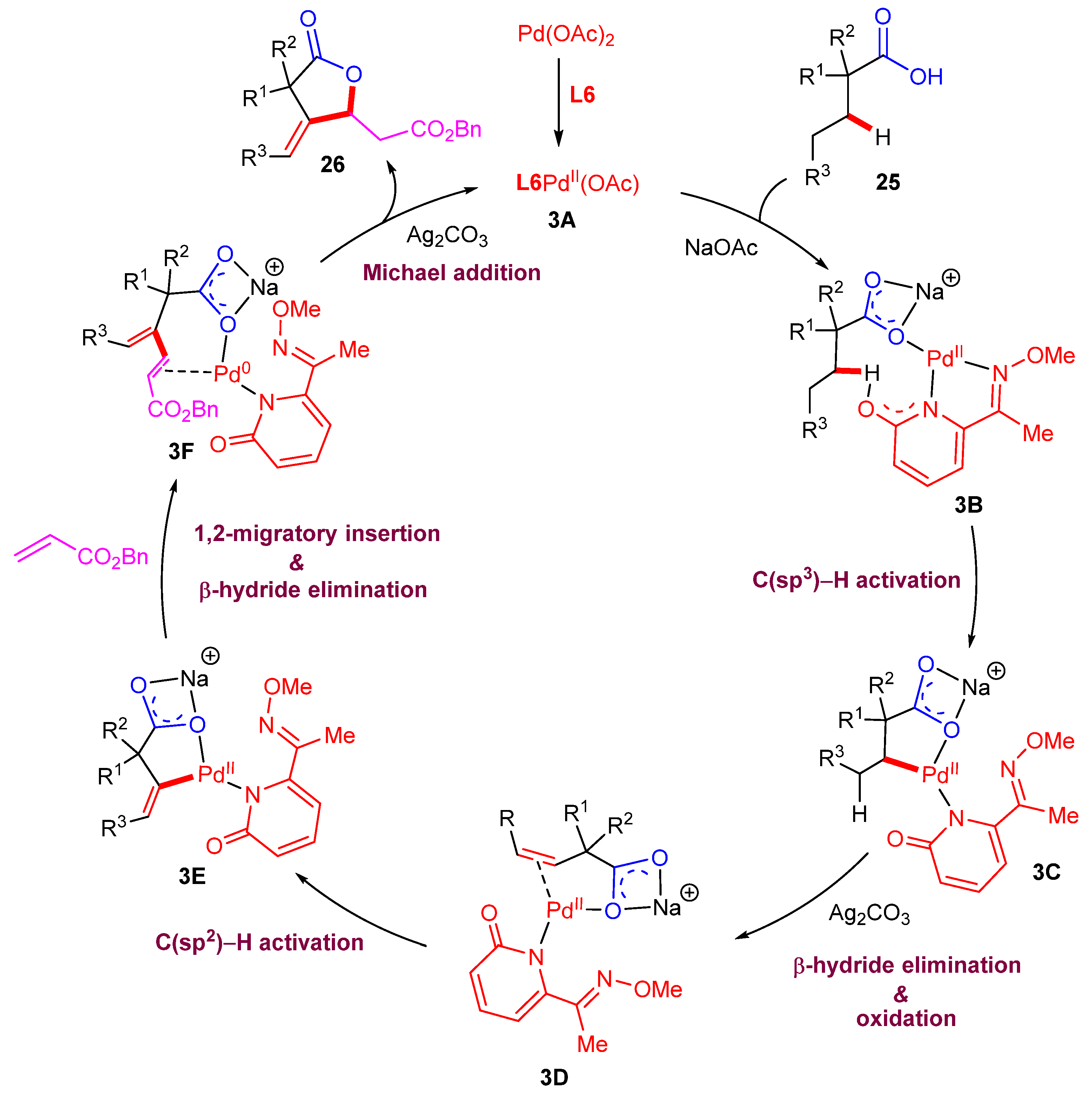 Catalysts 15 00072 sch009