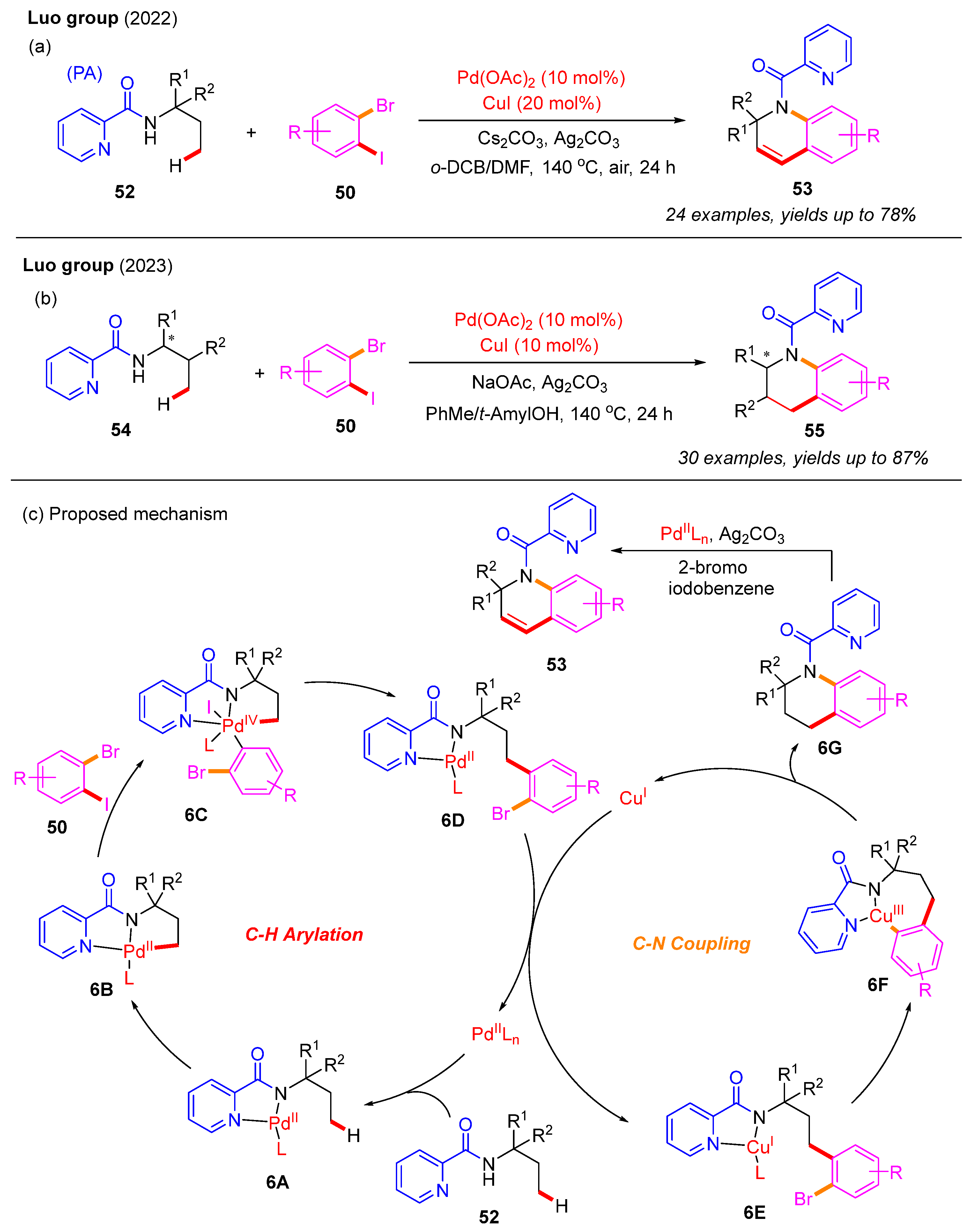 Catalysts 15 00072 sch018