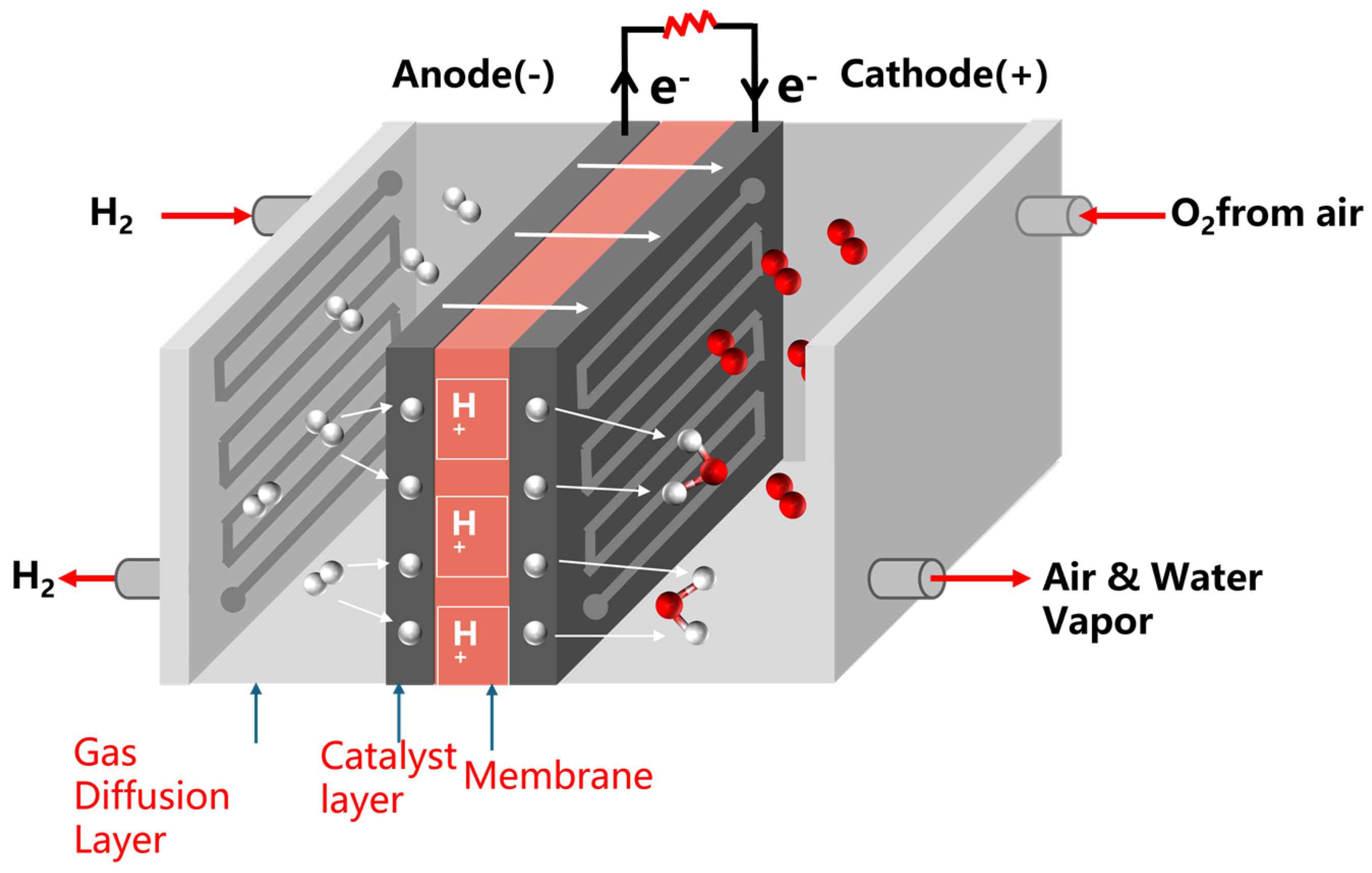 Catalysts 15 00074 g002