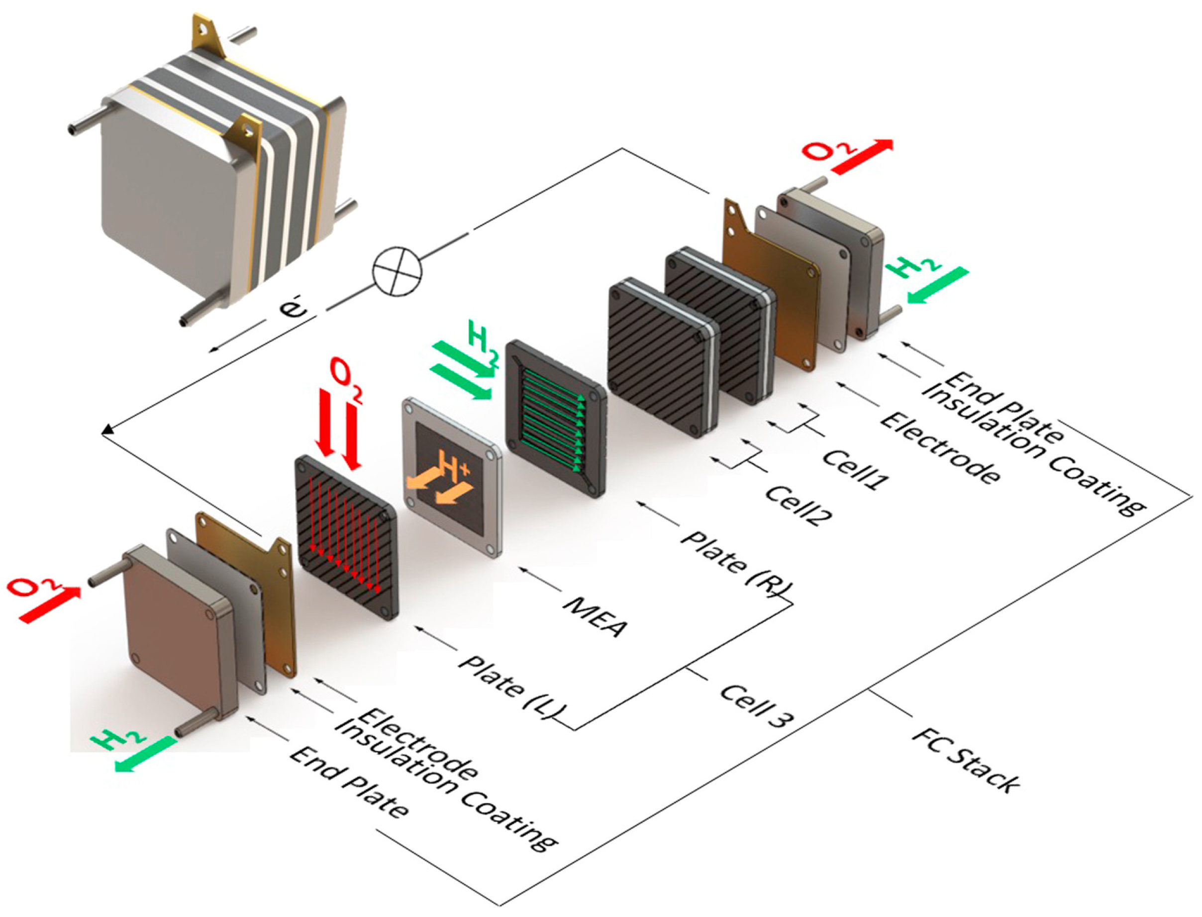 Catalysts 15 00074 g003
