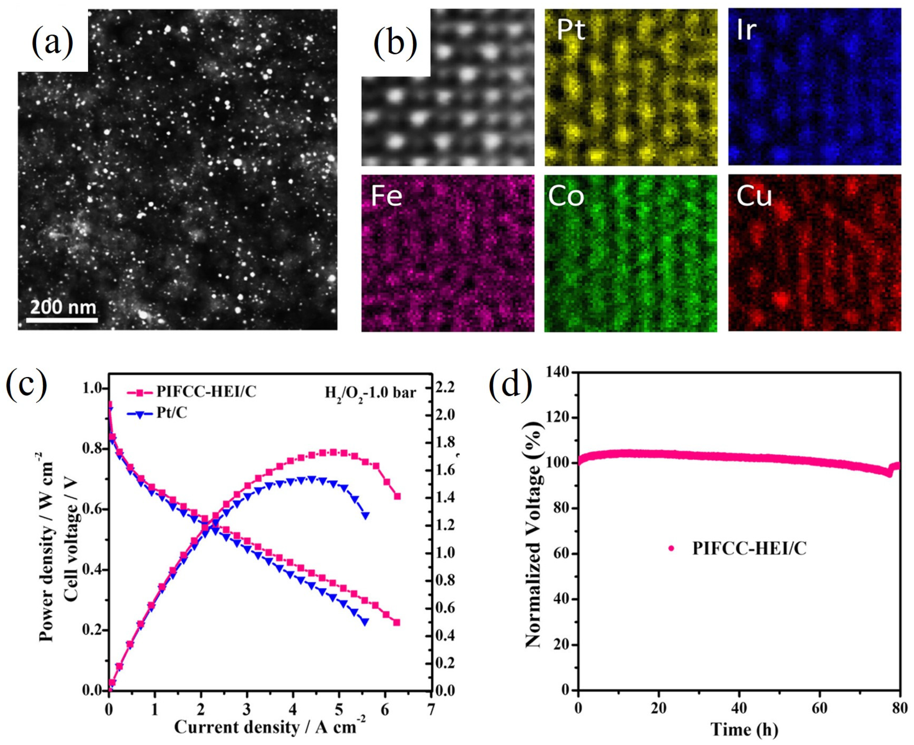 Catalysts 15 00074 g004