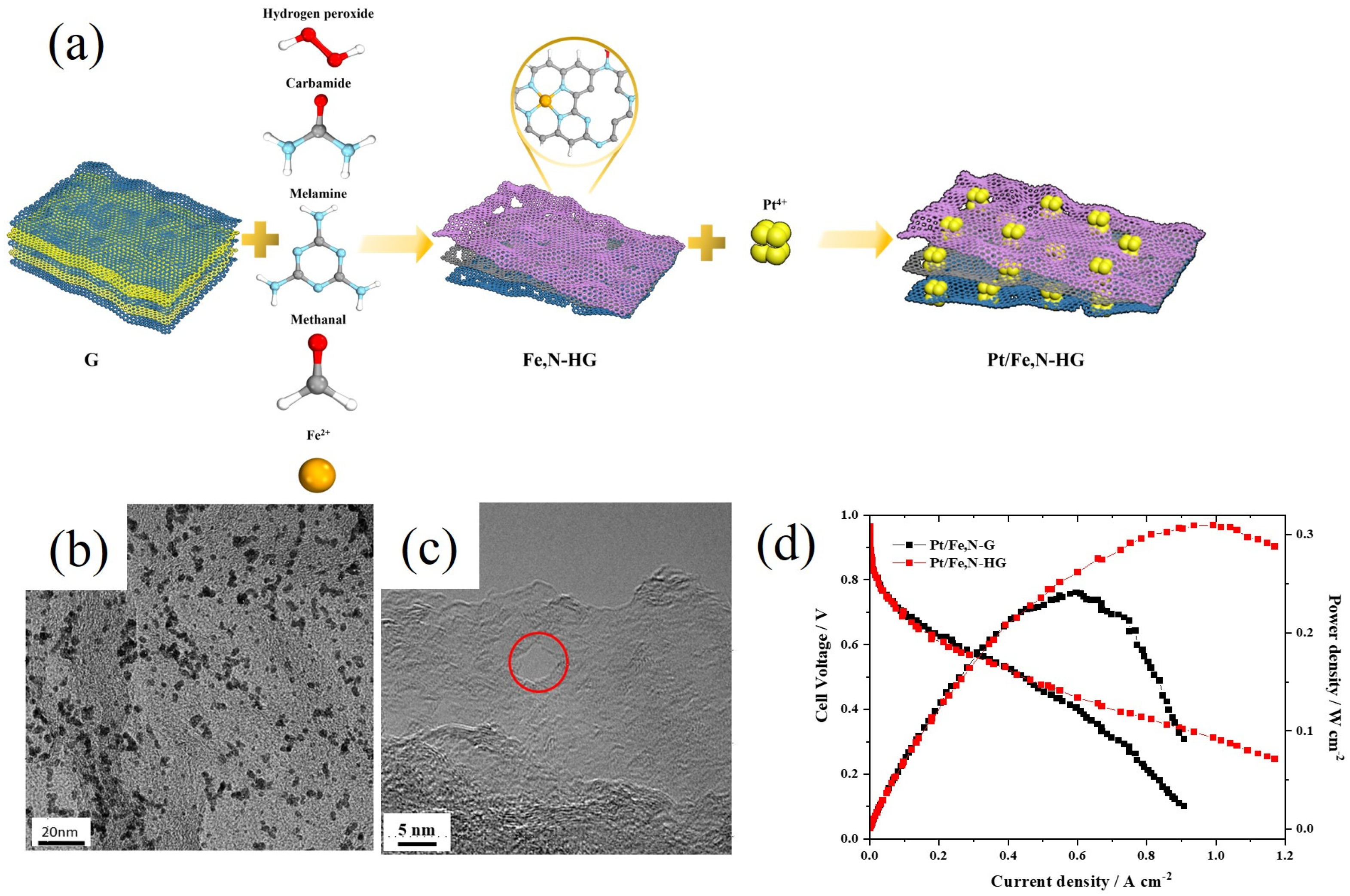 Catalysts 15 00074 g006