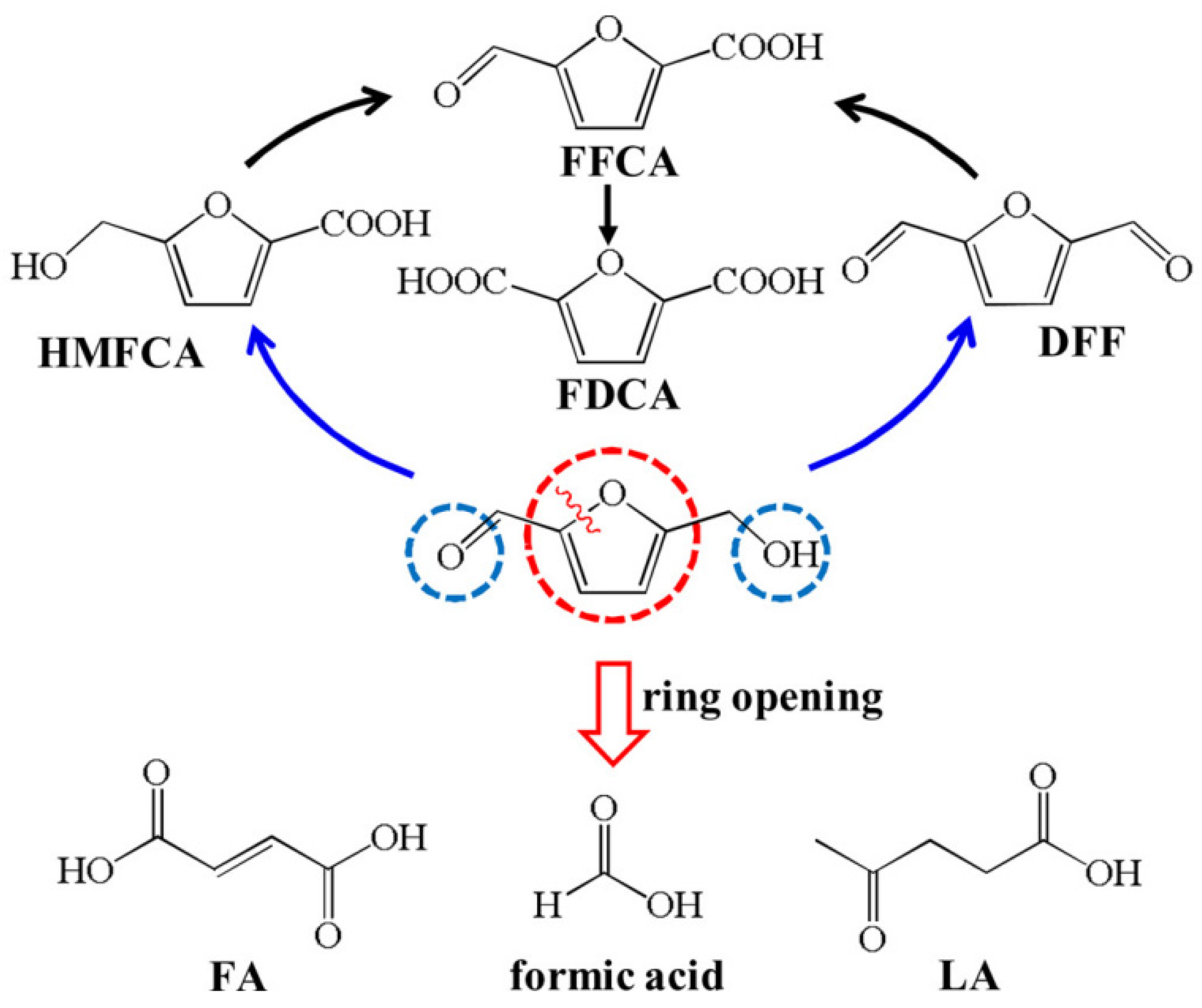 Catalysts 15 00082 g006