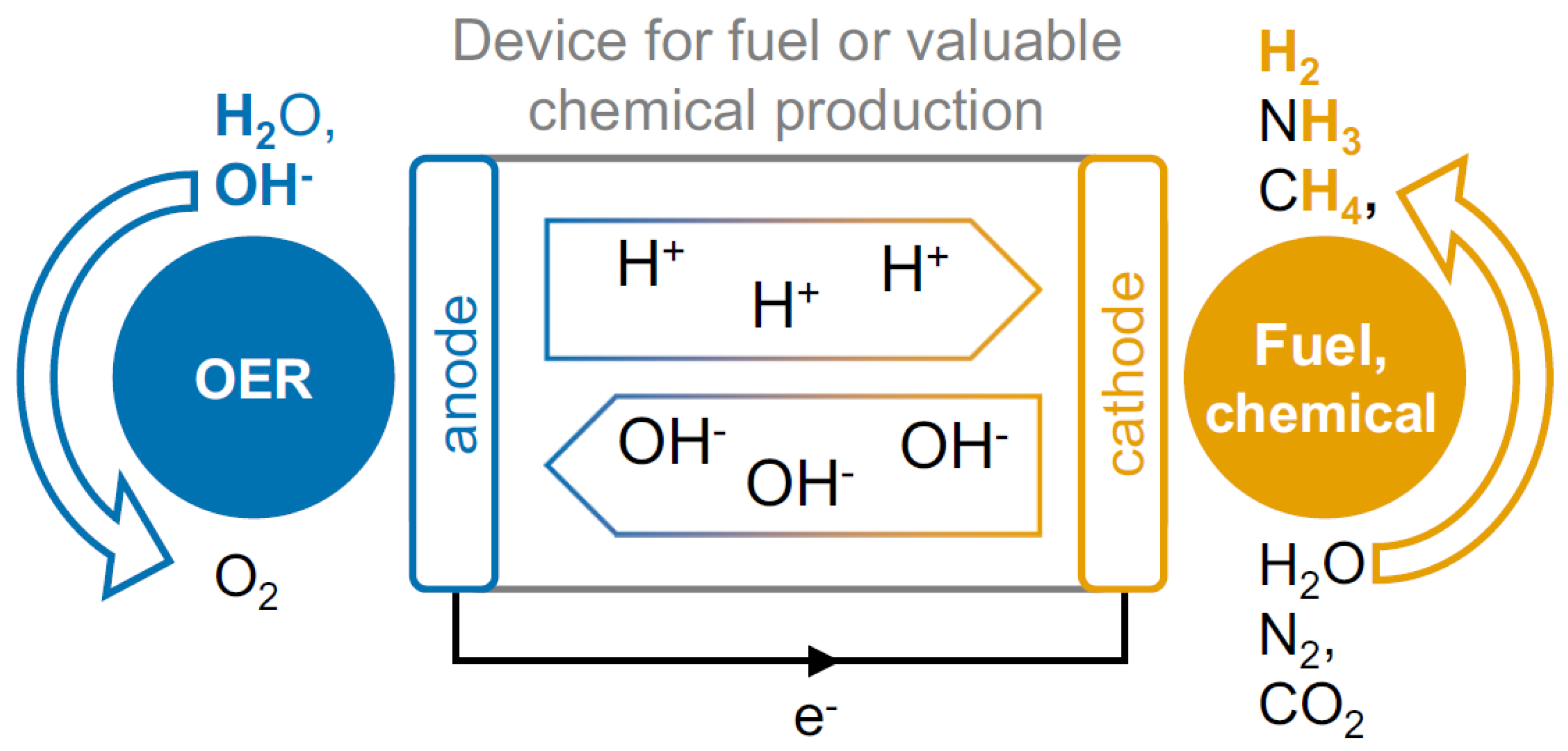 Catalysts 15 00082 g008