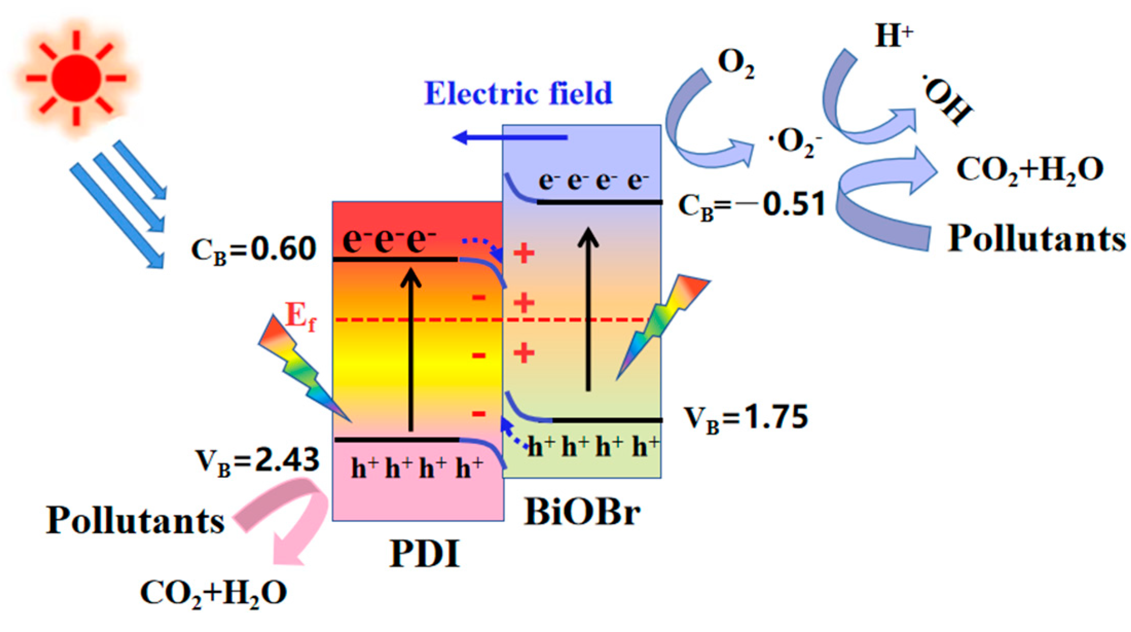 Catalysts 15 00085 g013