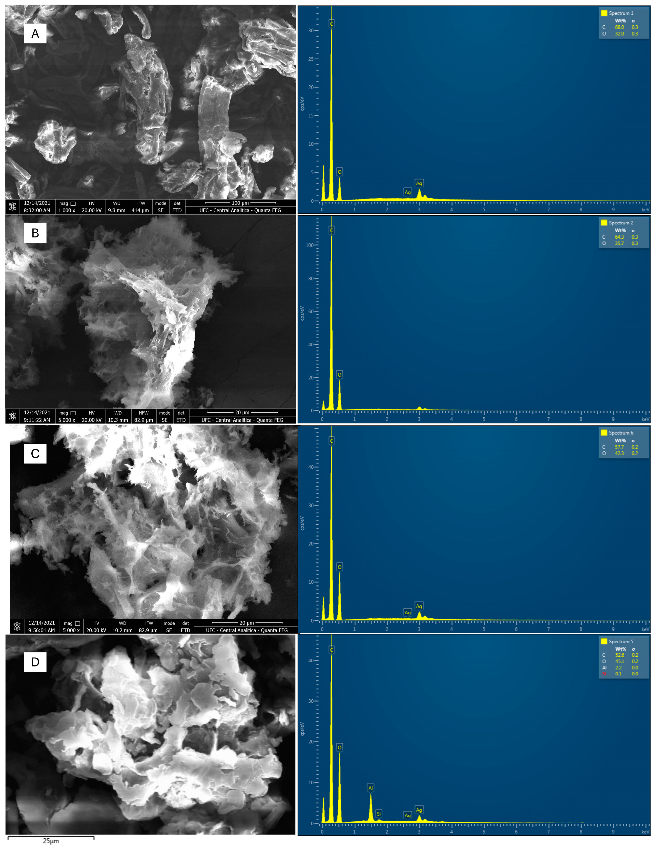 Catalysts 15 00099 g004 Catalysts 15 00099 g004