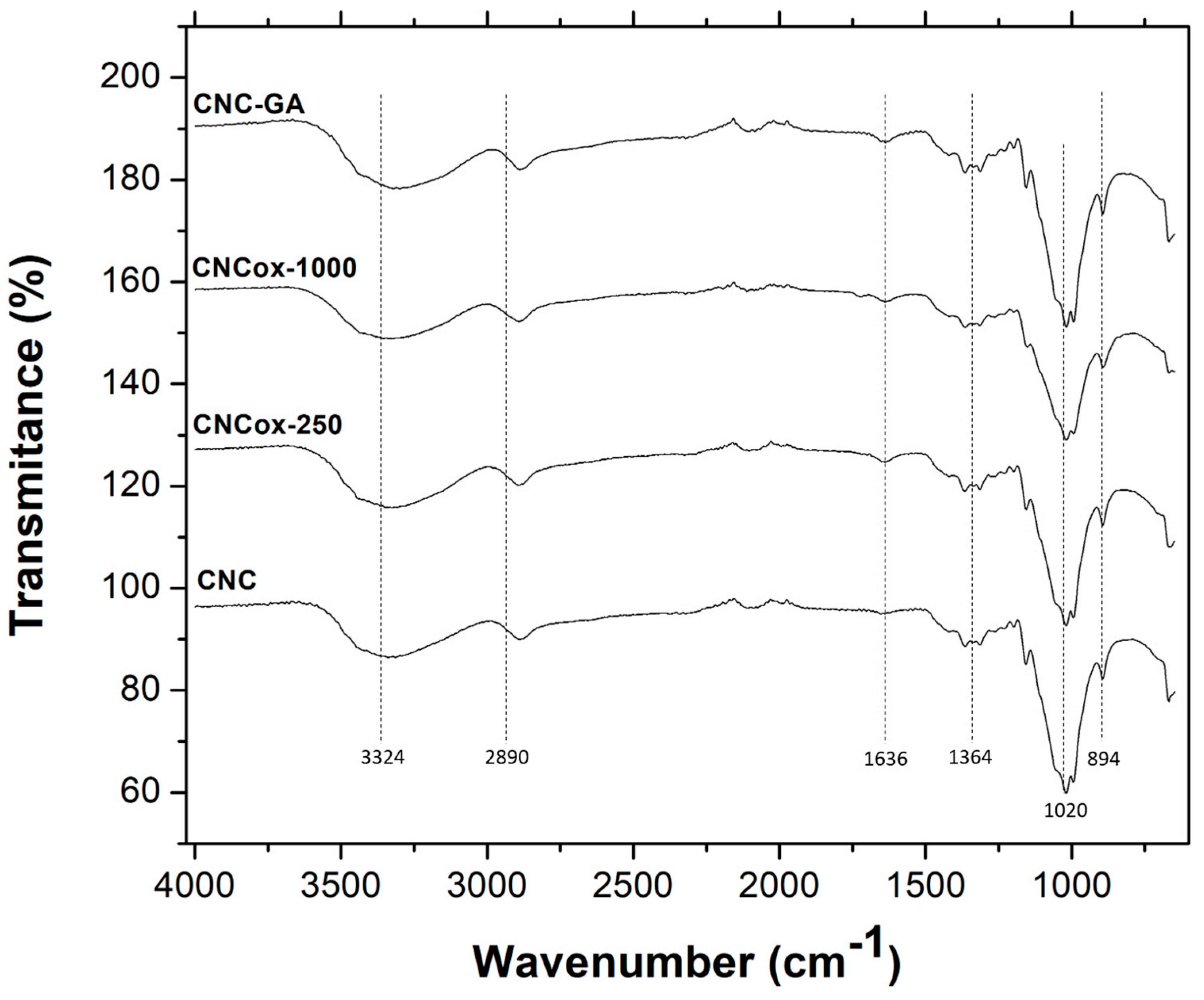 Catalysts 15 00099 g005 Catalysts 15 00099 g005