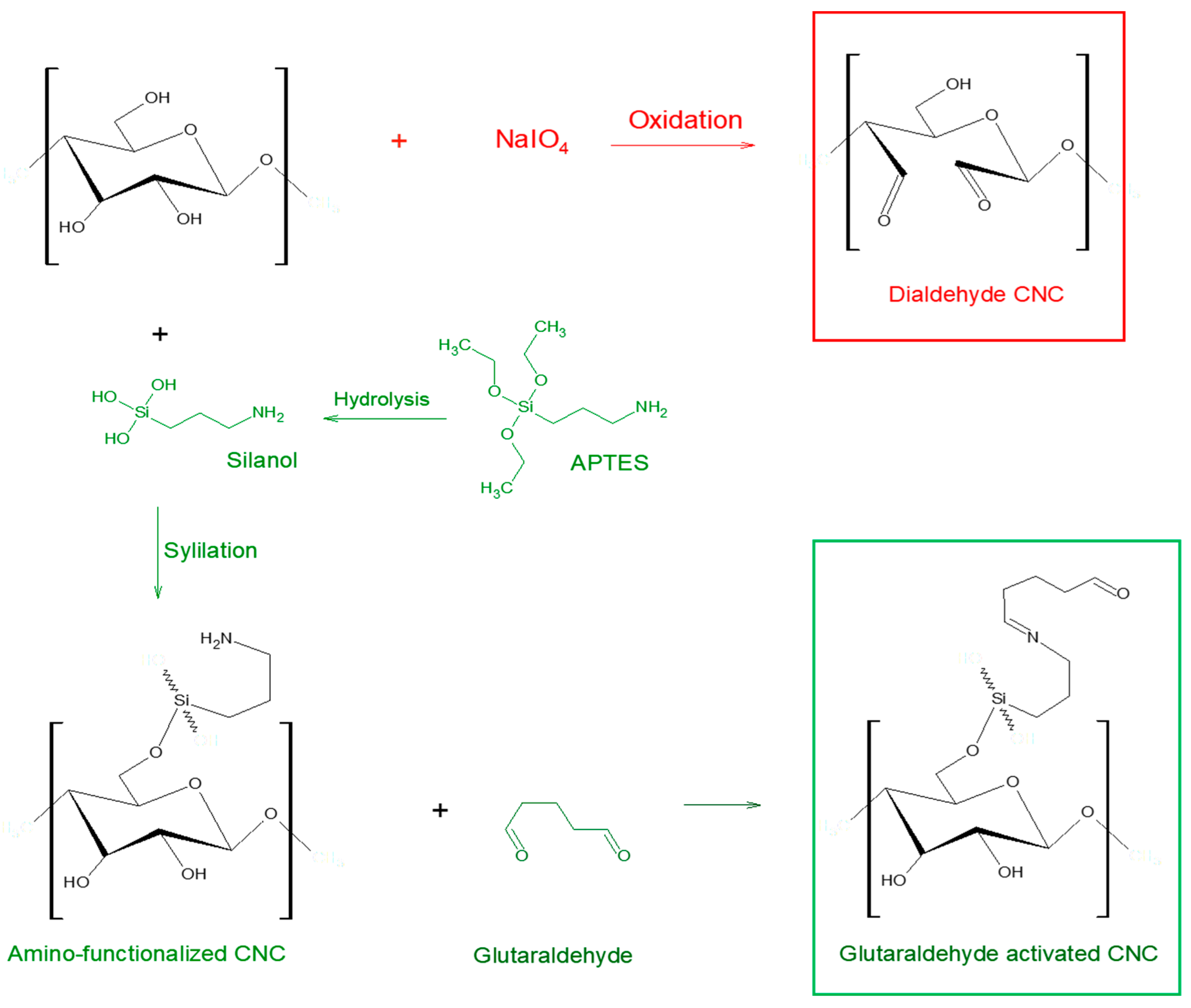 Catalysts 15 00099 g010 Catalysts 15 00099 g010