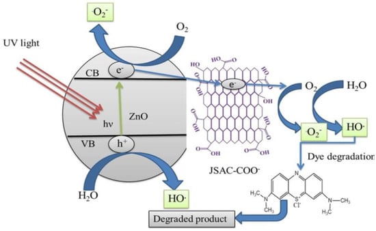 Catalysts 15 00100 g003