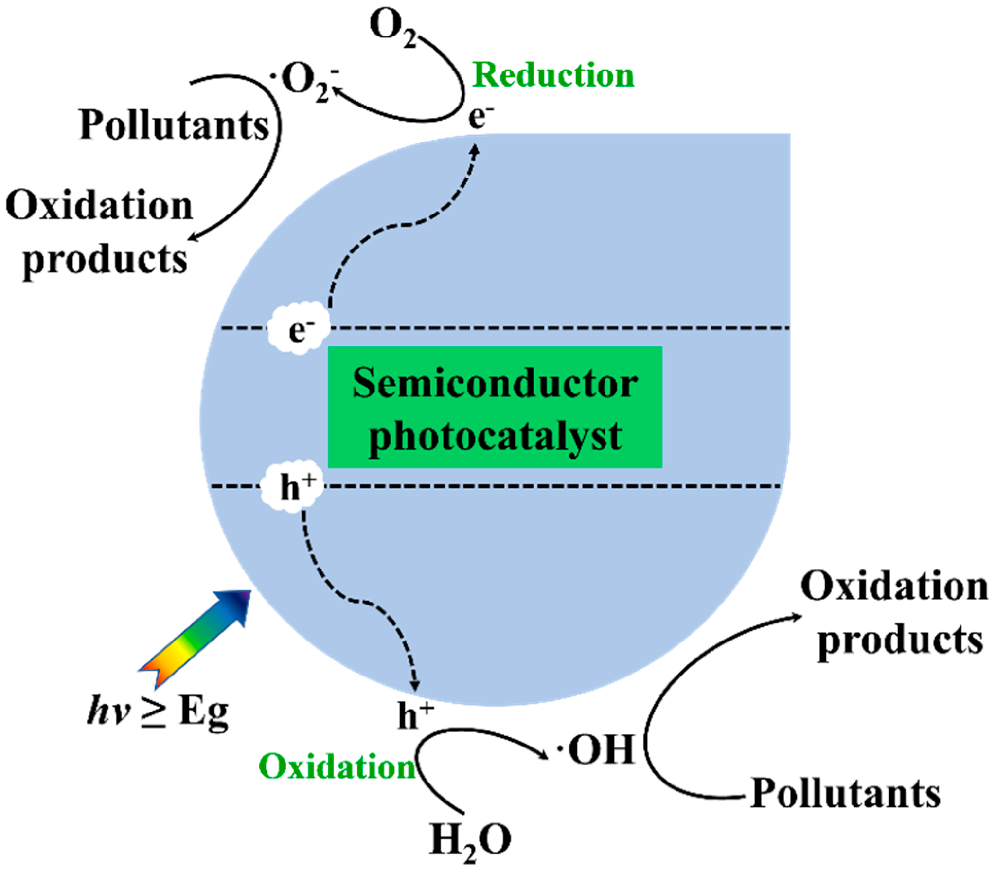 Catalysts 15 00103 g001 Catalysts 15 00103 g001