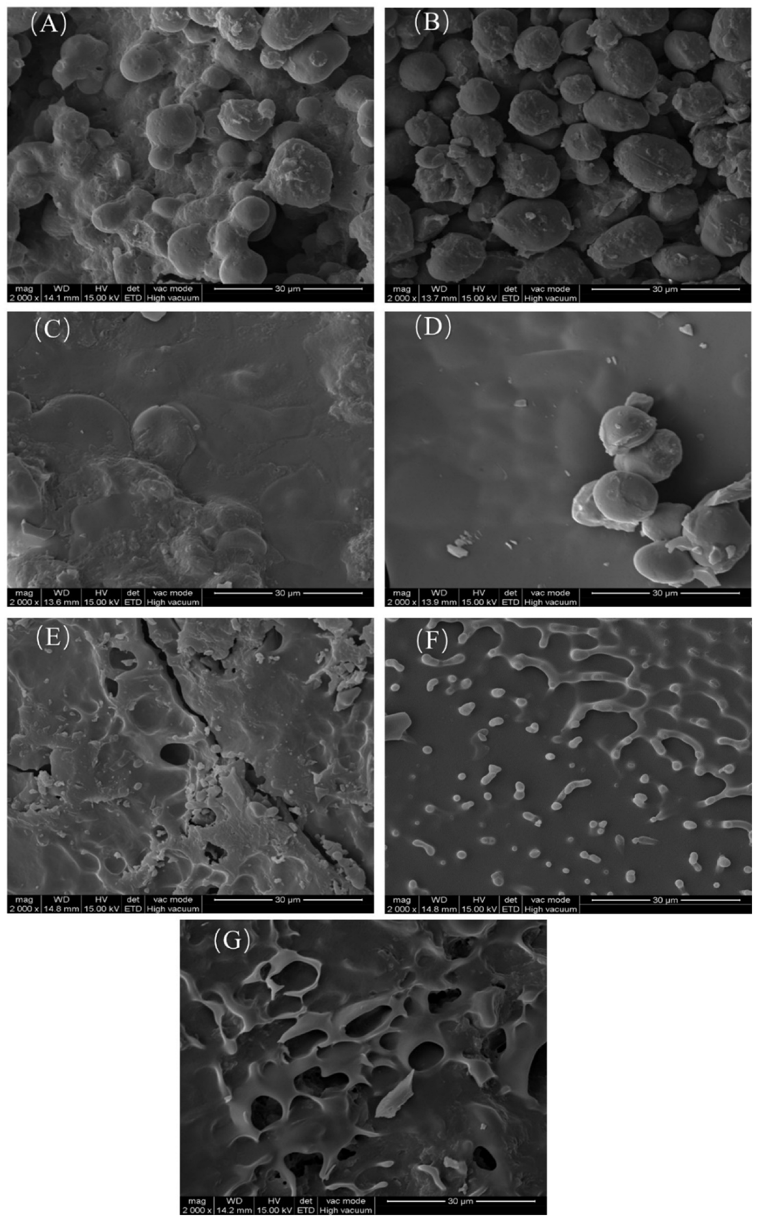 Catalysts 15 00108 g004 Catalysts 15 00108 g004