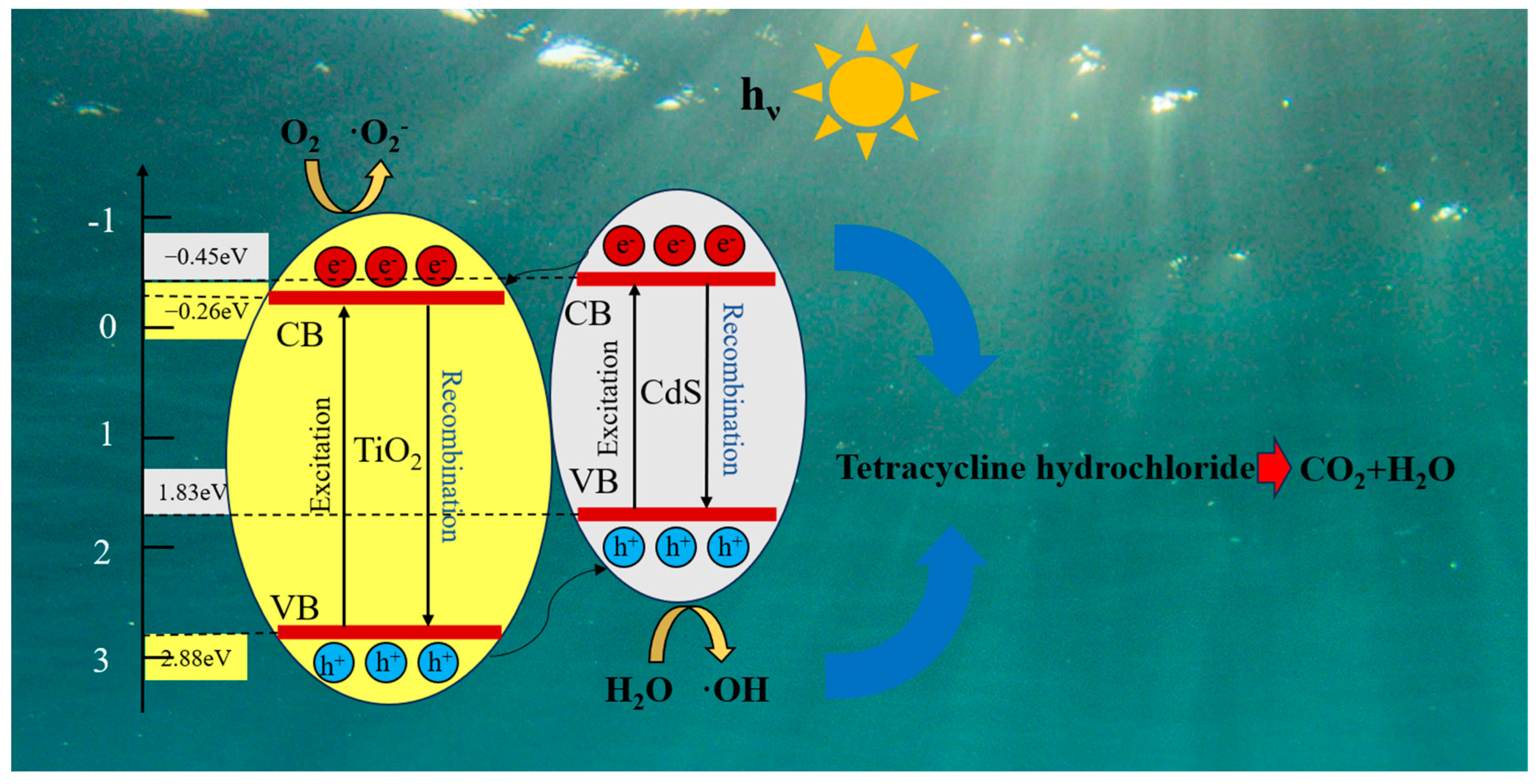 Catalysts 15 00113 g013