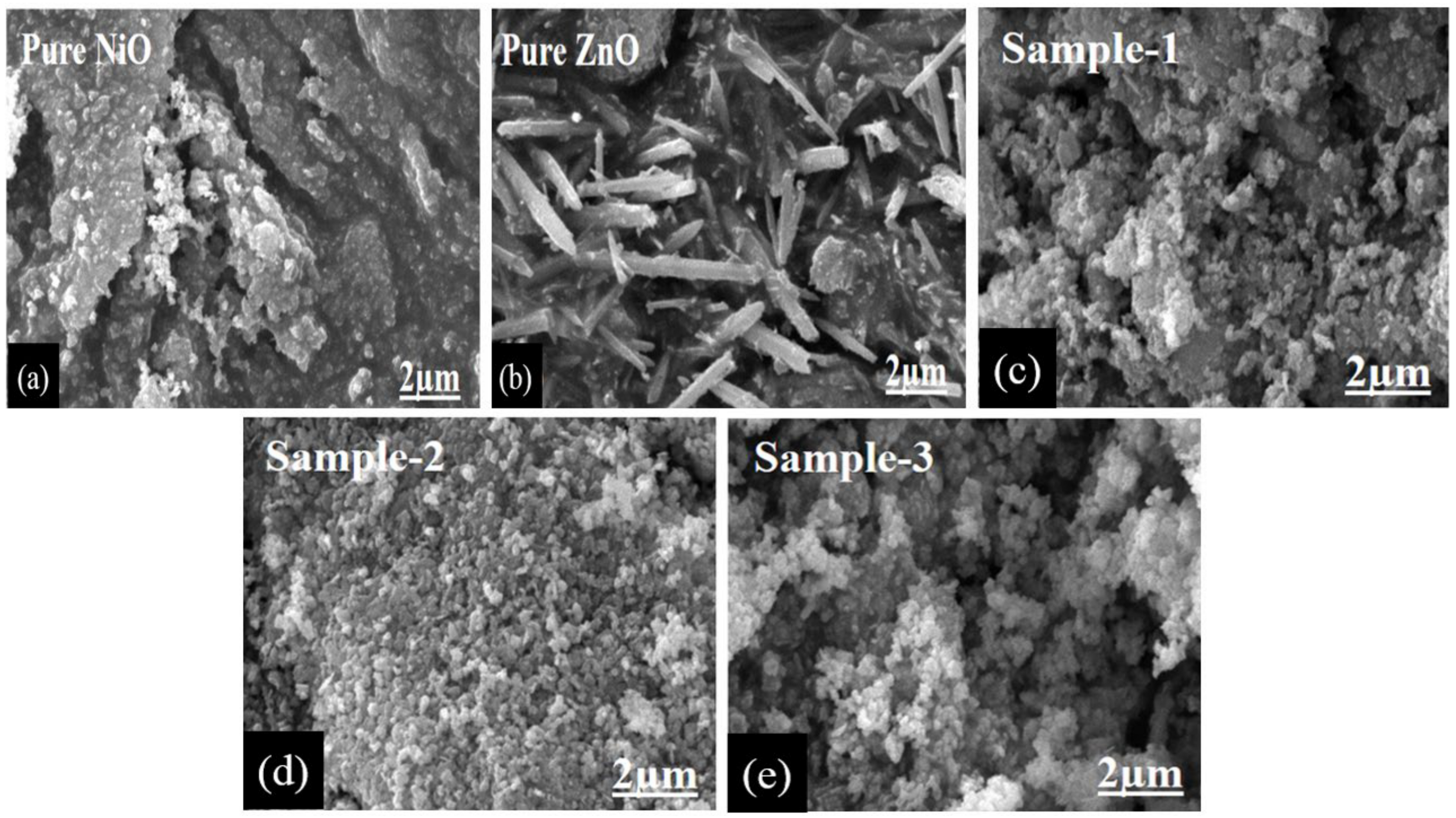 Catalysts 15 00116 g004