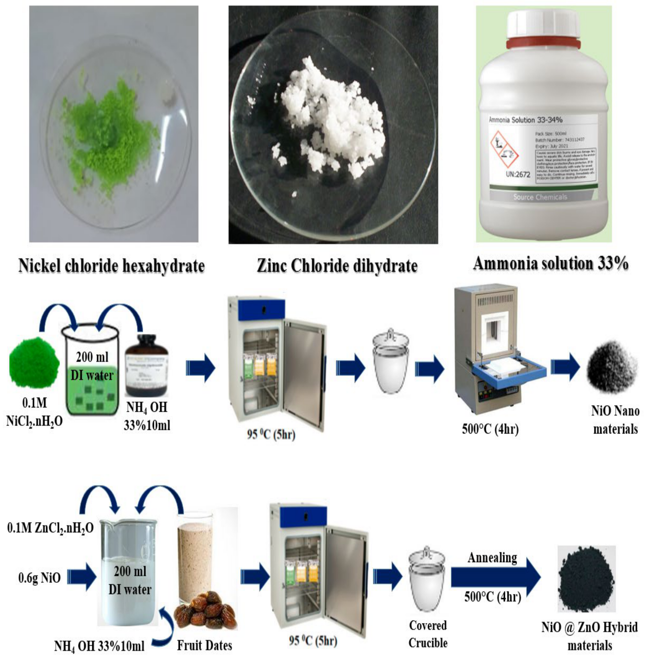 Catalysts 15 00116 sch001