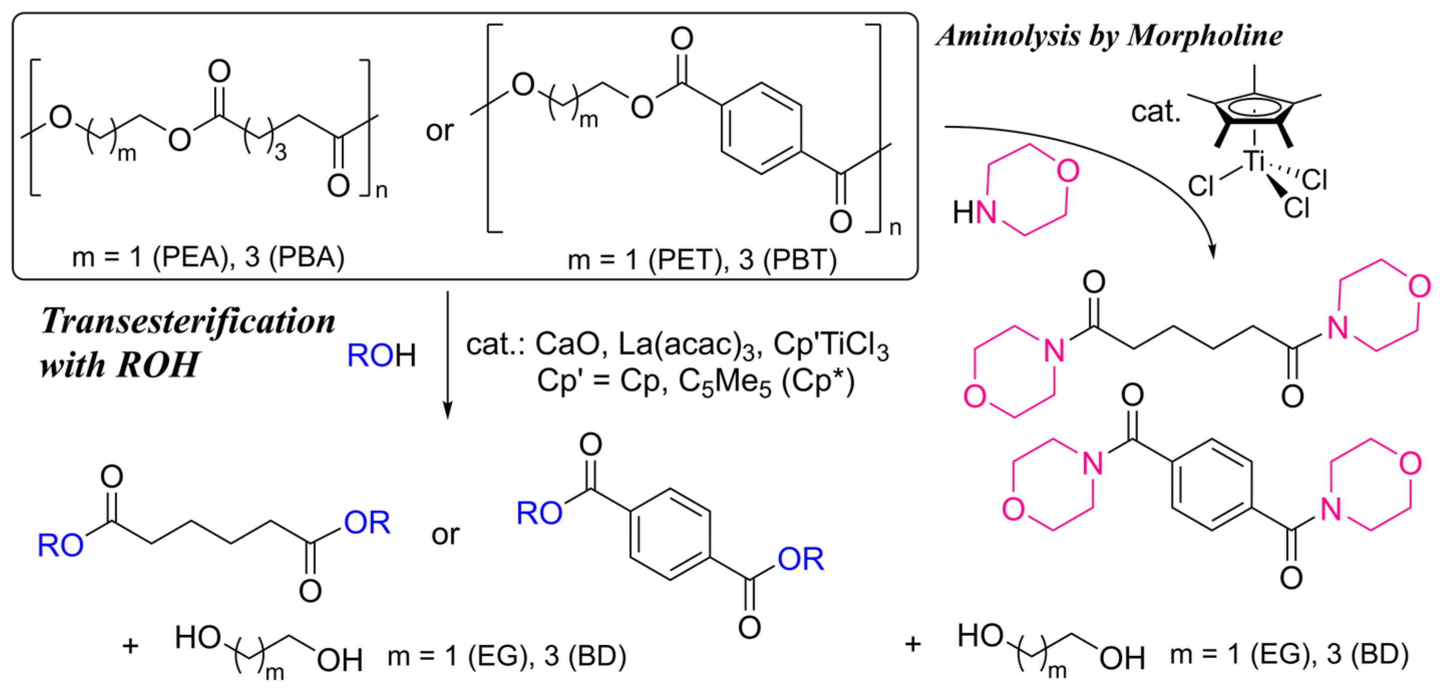 Catalysts 15 00129 sch002