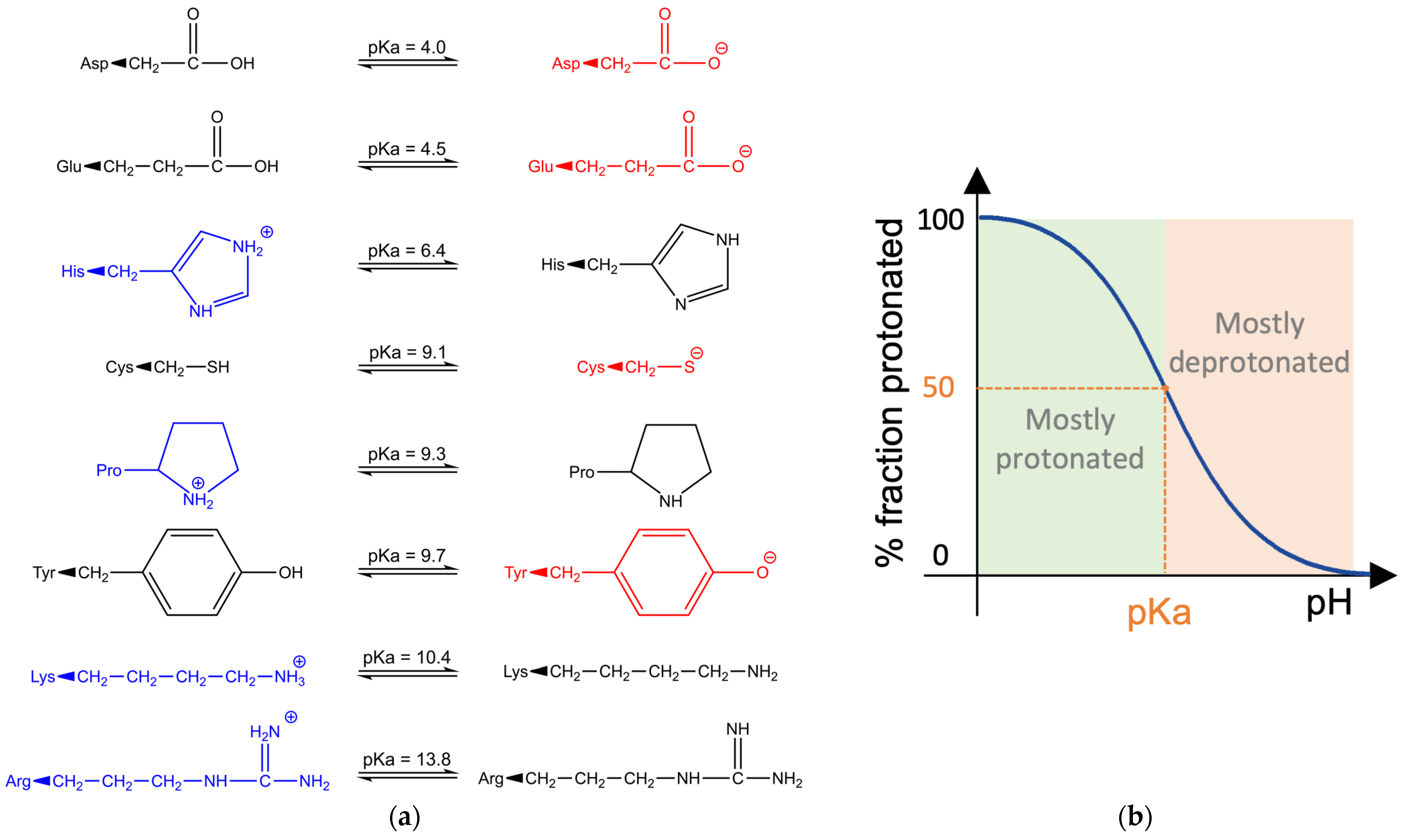 Catalysts 15 00147 g001 Catalysts 15 00147 g001