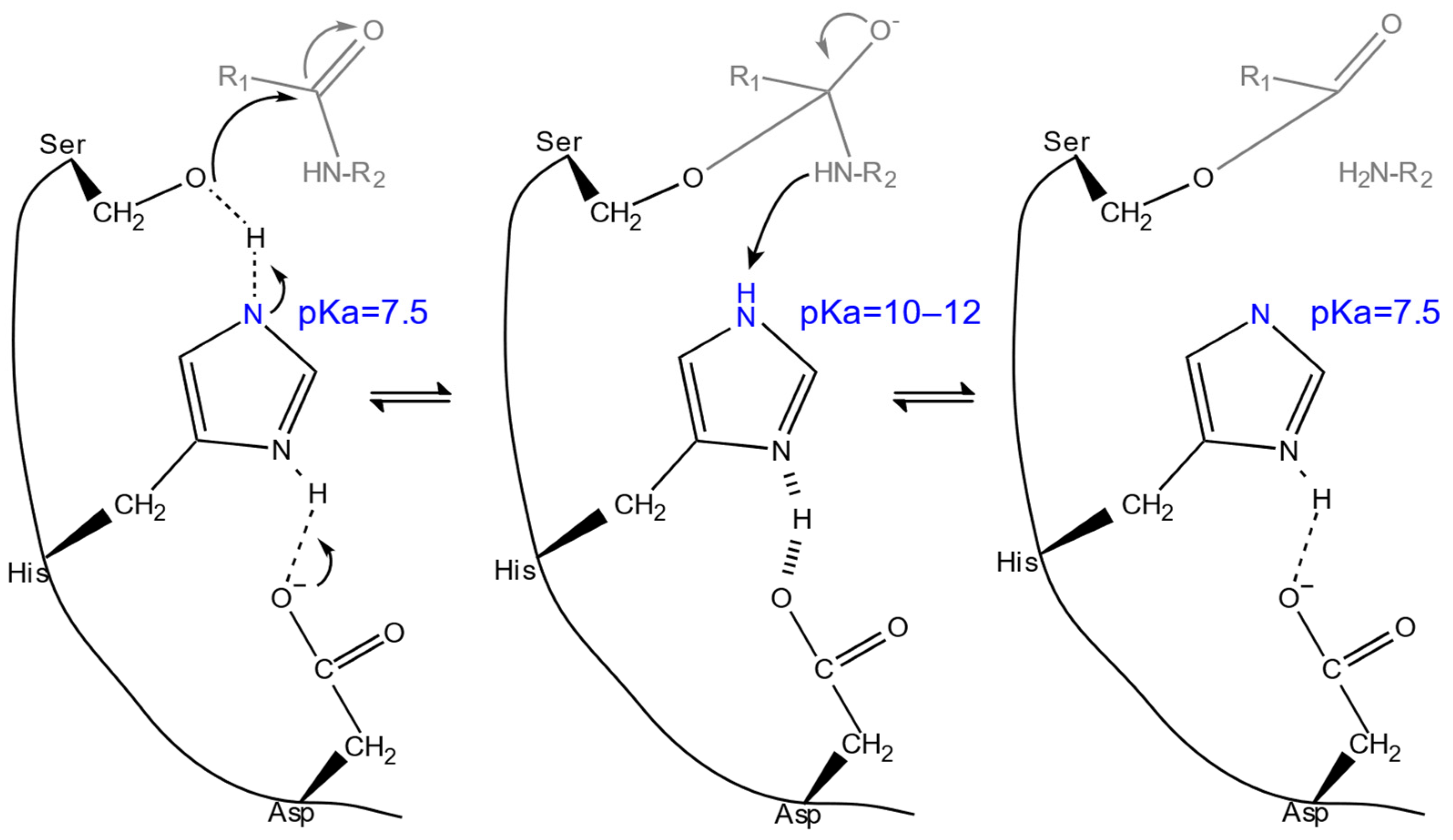 Catalysts 15 00147 g002 Catalysts 15 00147 g002