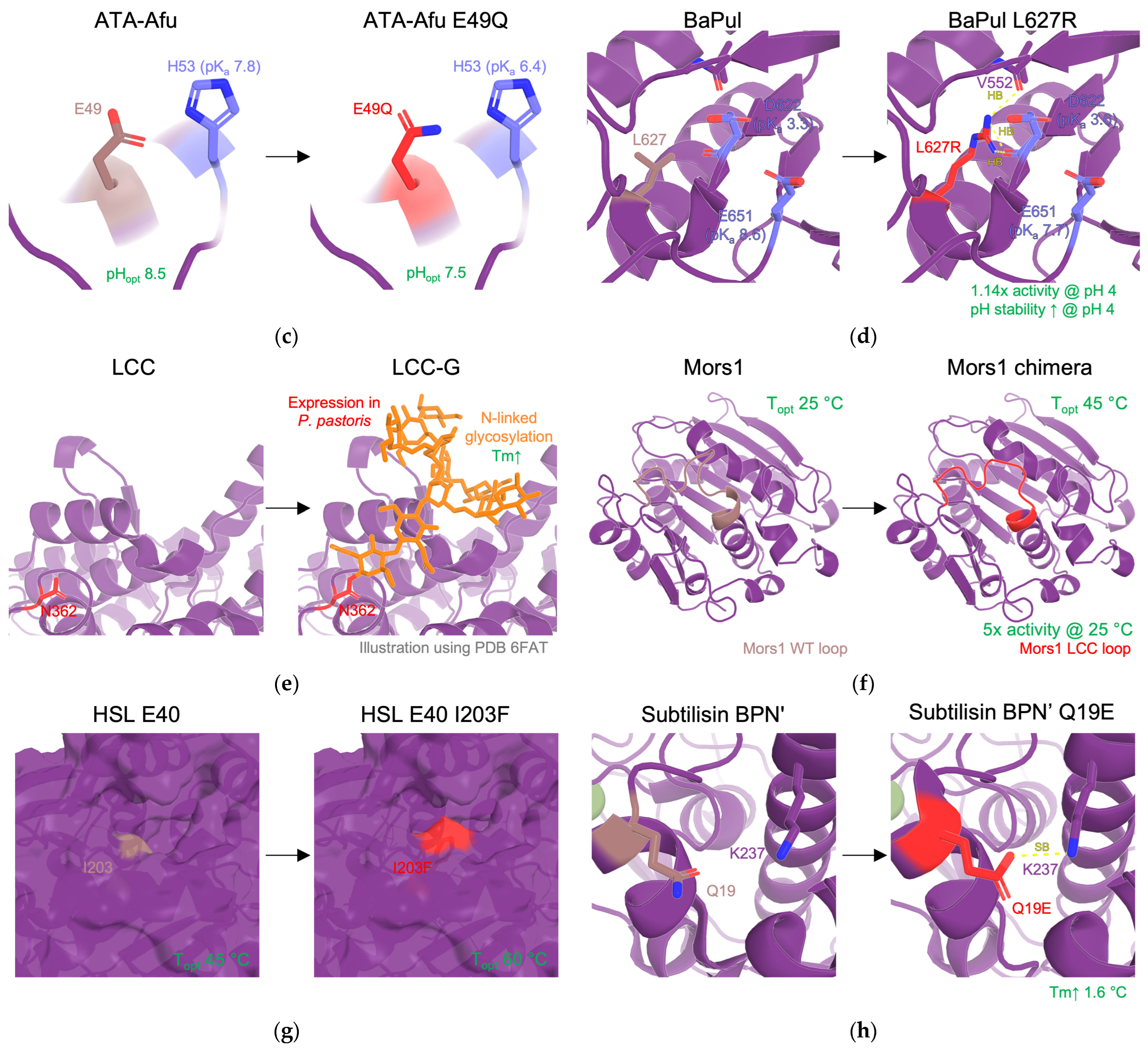 Catalysts 15 00147 g004b Catalysts 15 00147 g004b