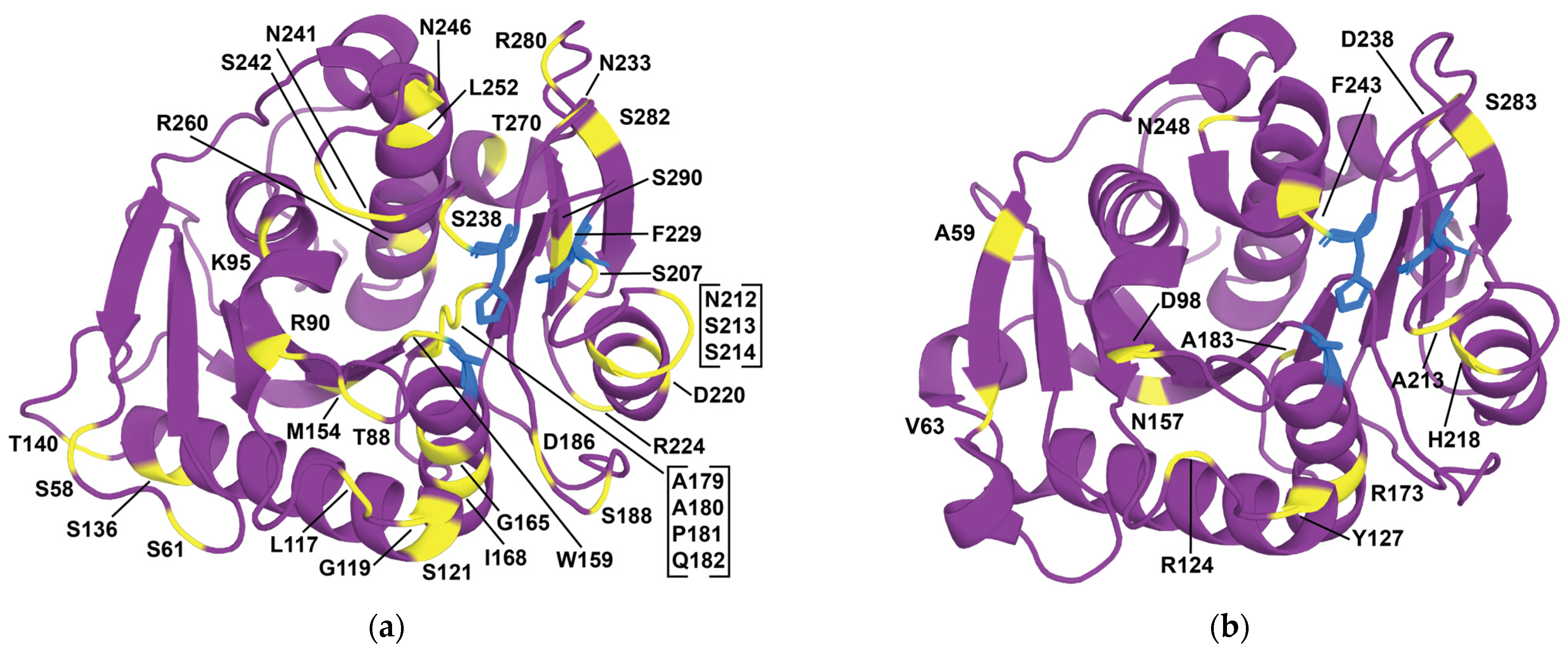Catalysts 15 00147 g006 Catalysts 15 00147 g006