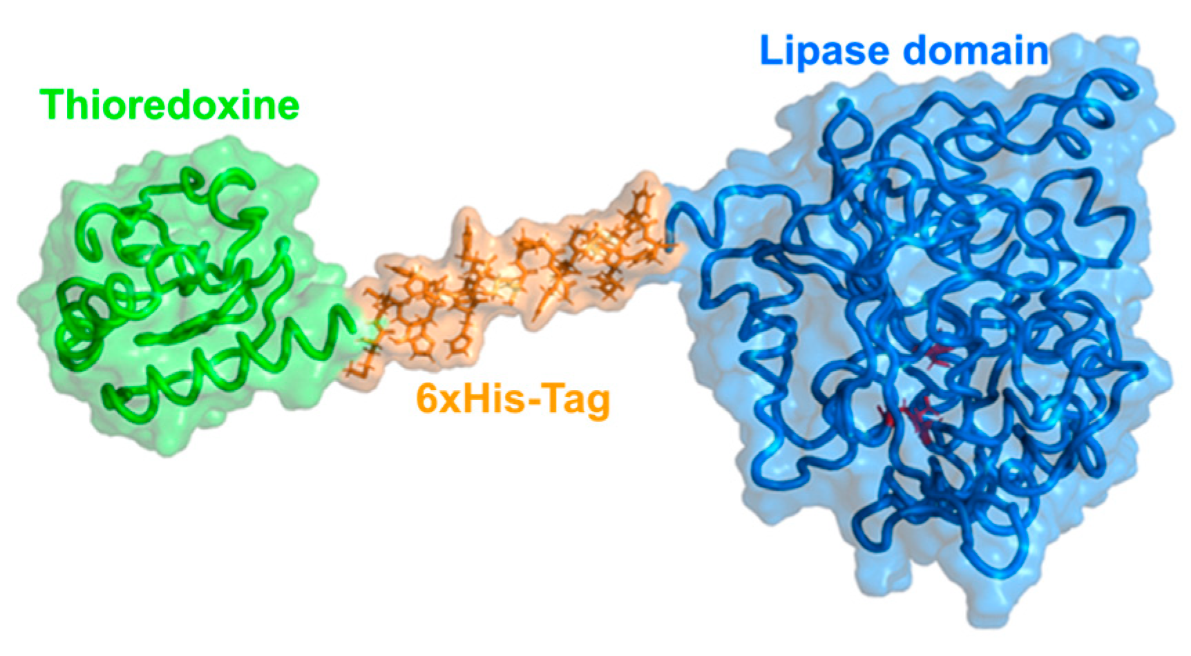 Catalysts 15 00168 g001