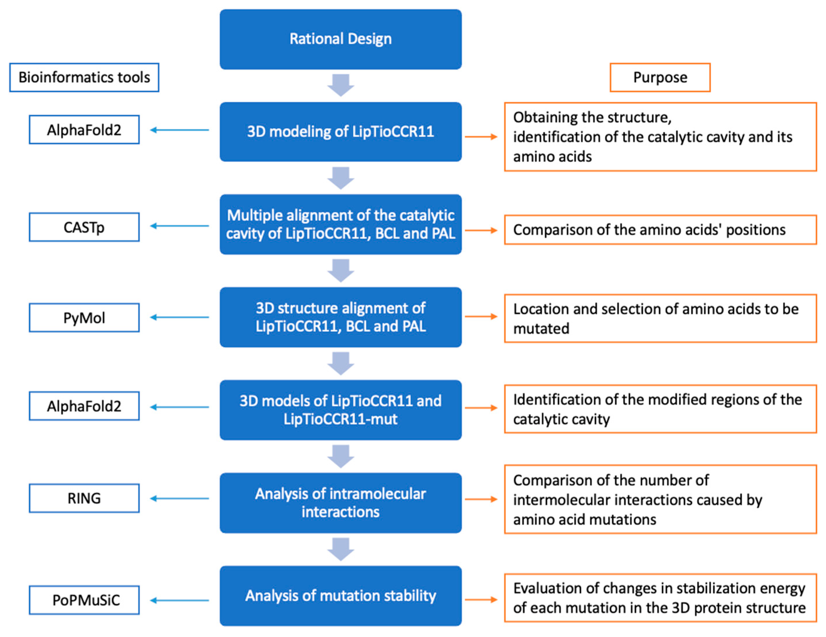 Catalysts 15 00168 g007