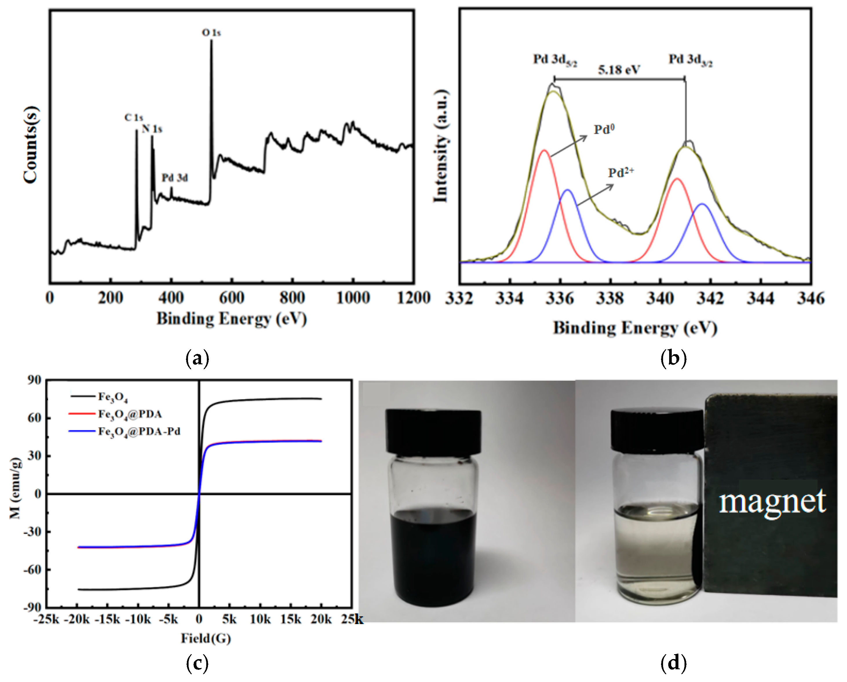 Catalysts 15 00175 g005