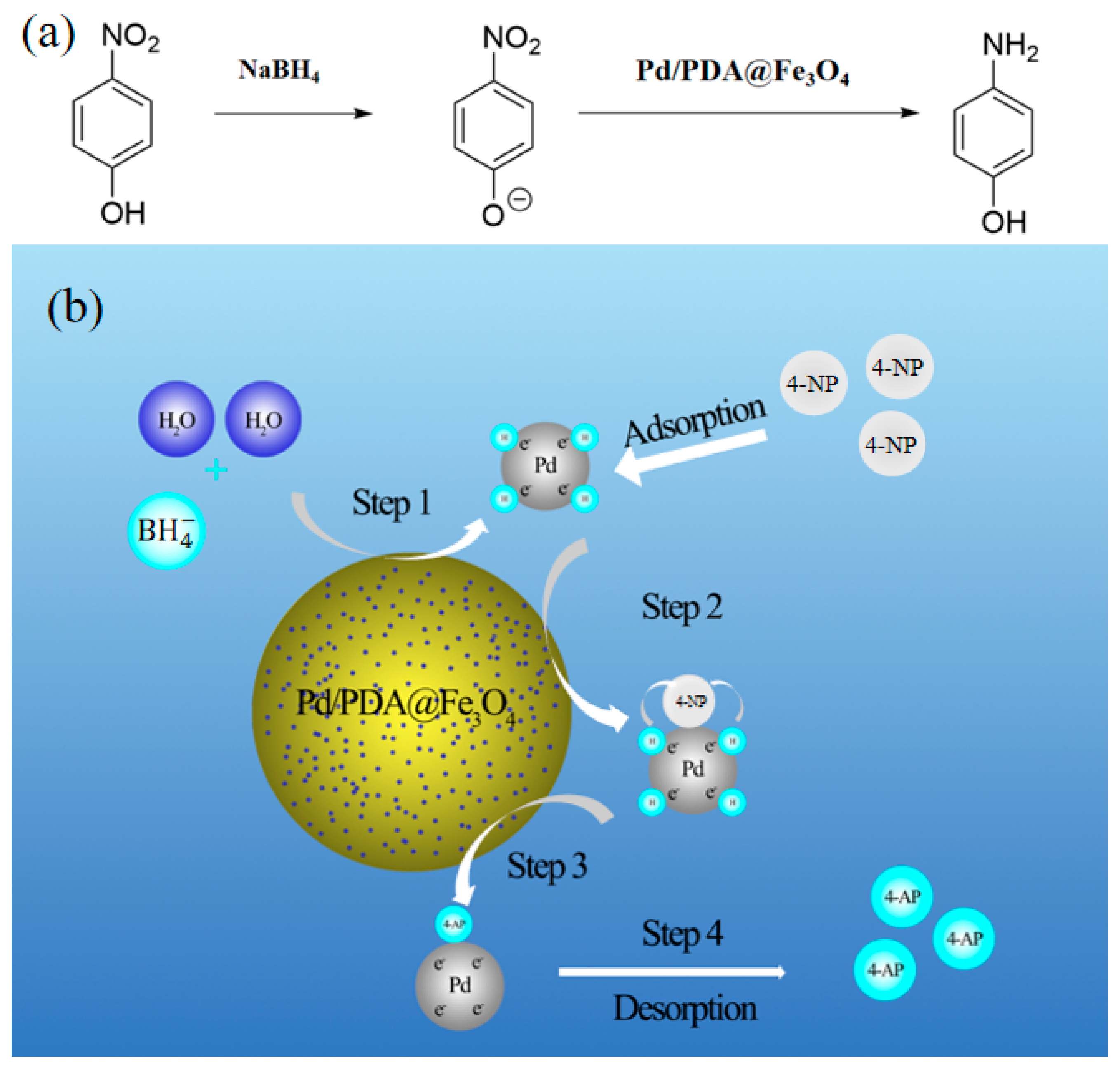 Catalysts 15 00175 g007