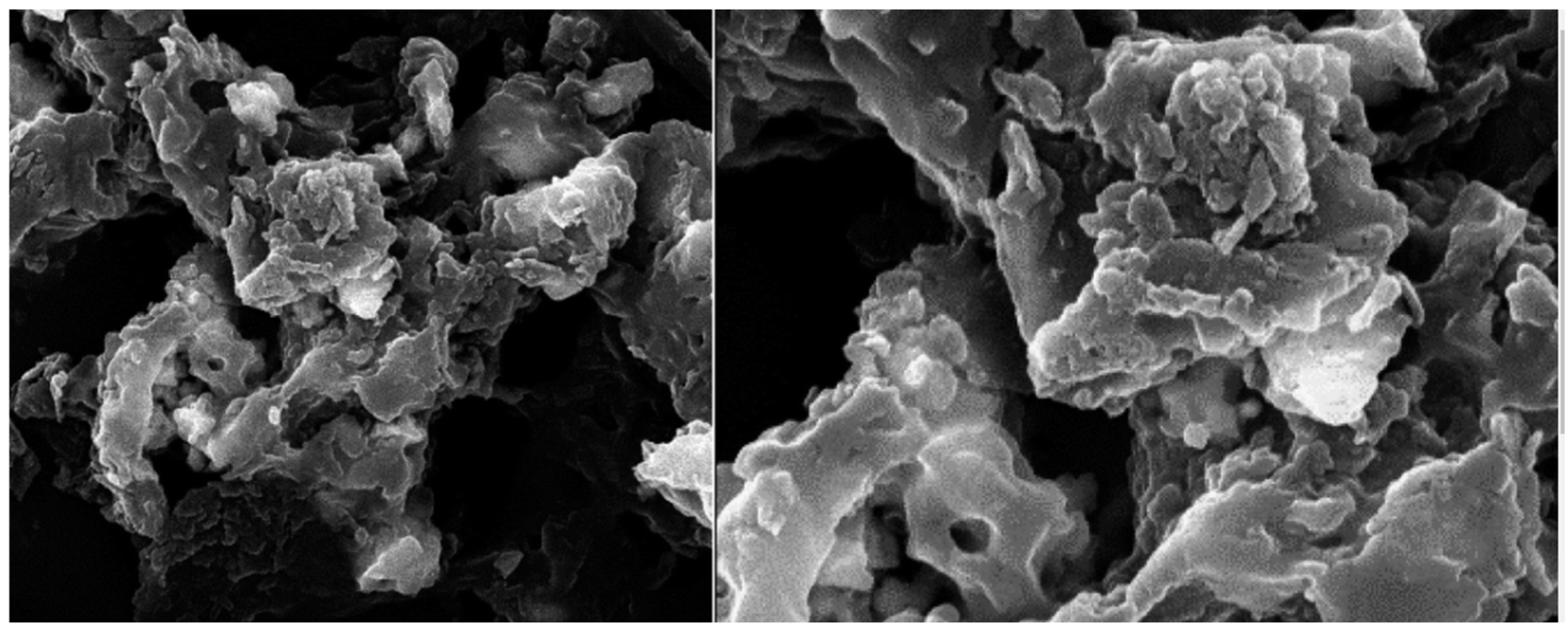 Catalysts 15 00181 g001