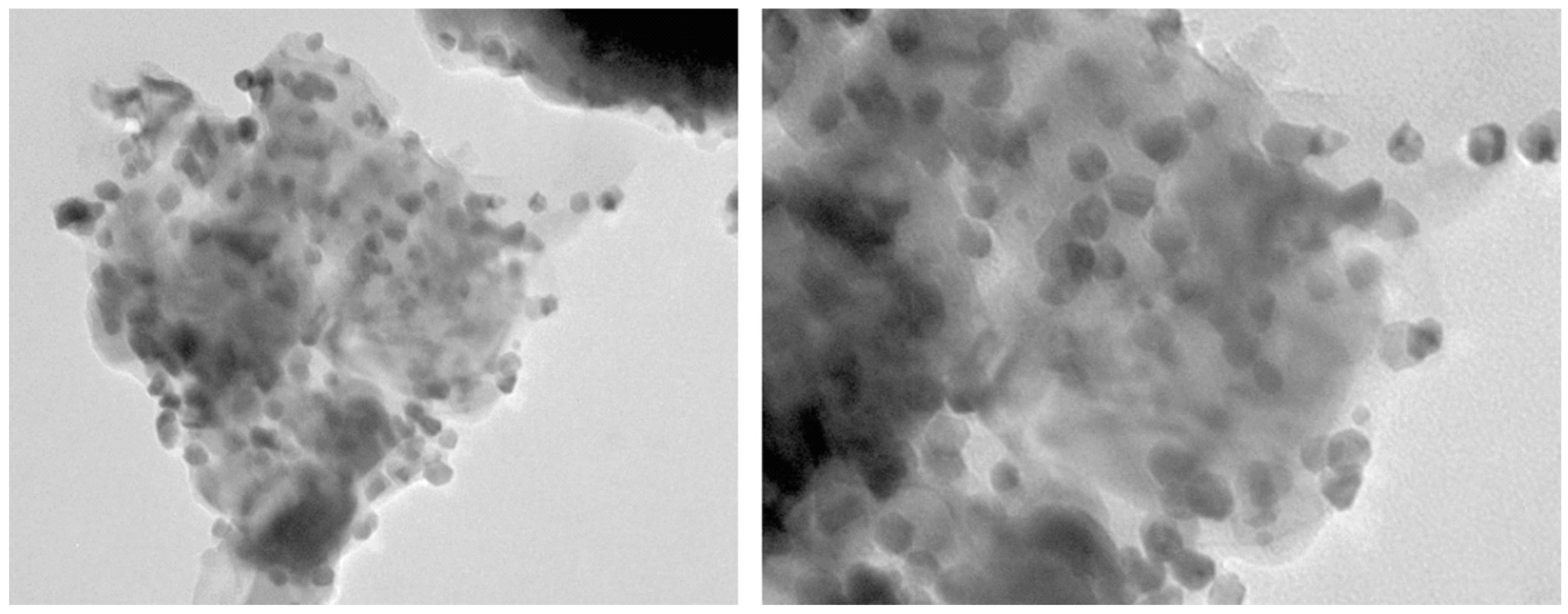 Catalysts 15 00181 g002
