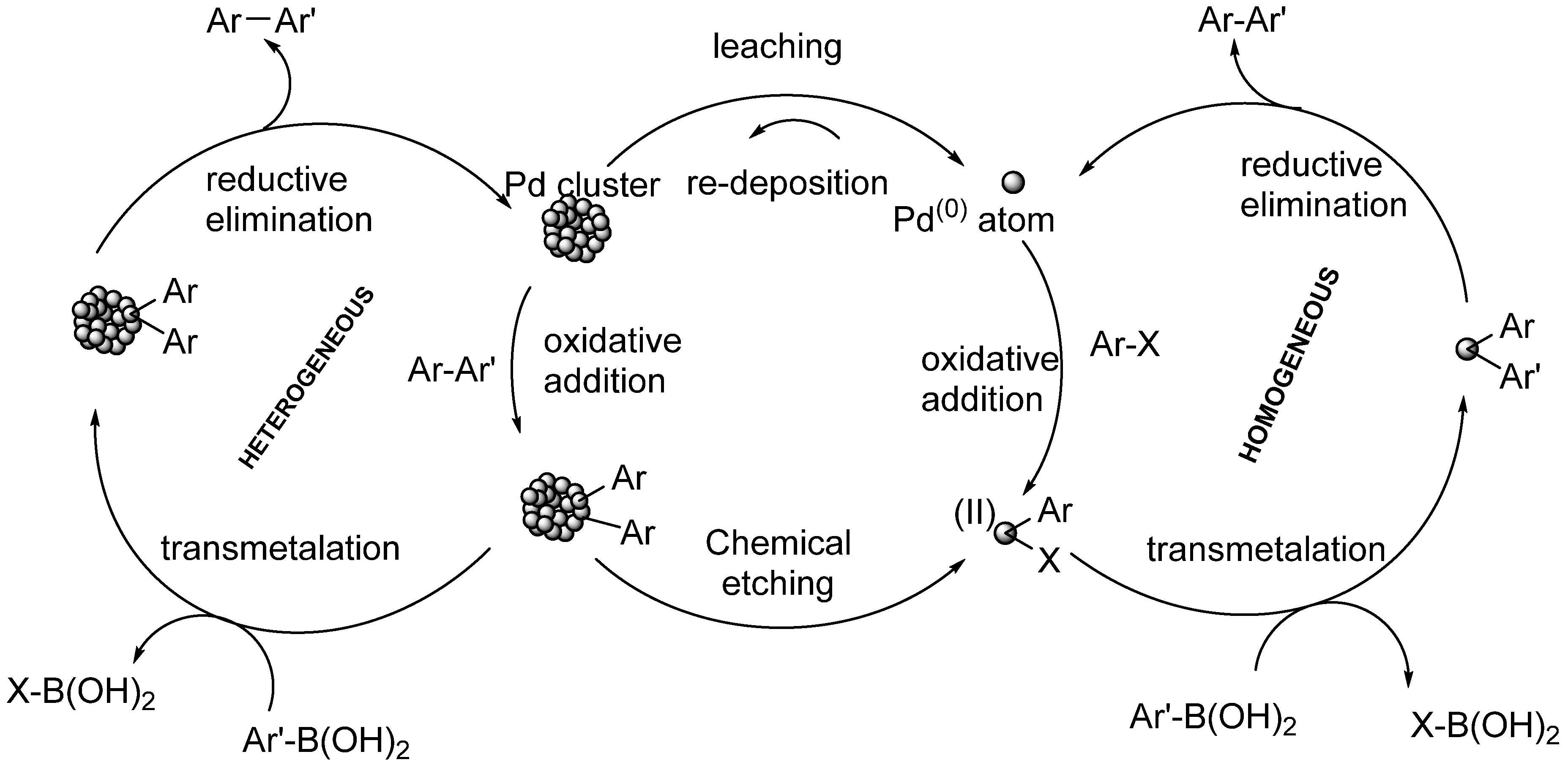 Catalysts 15 00181 g003