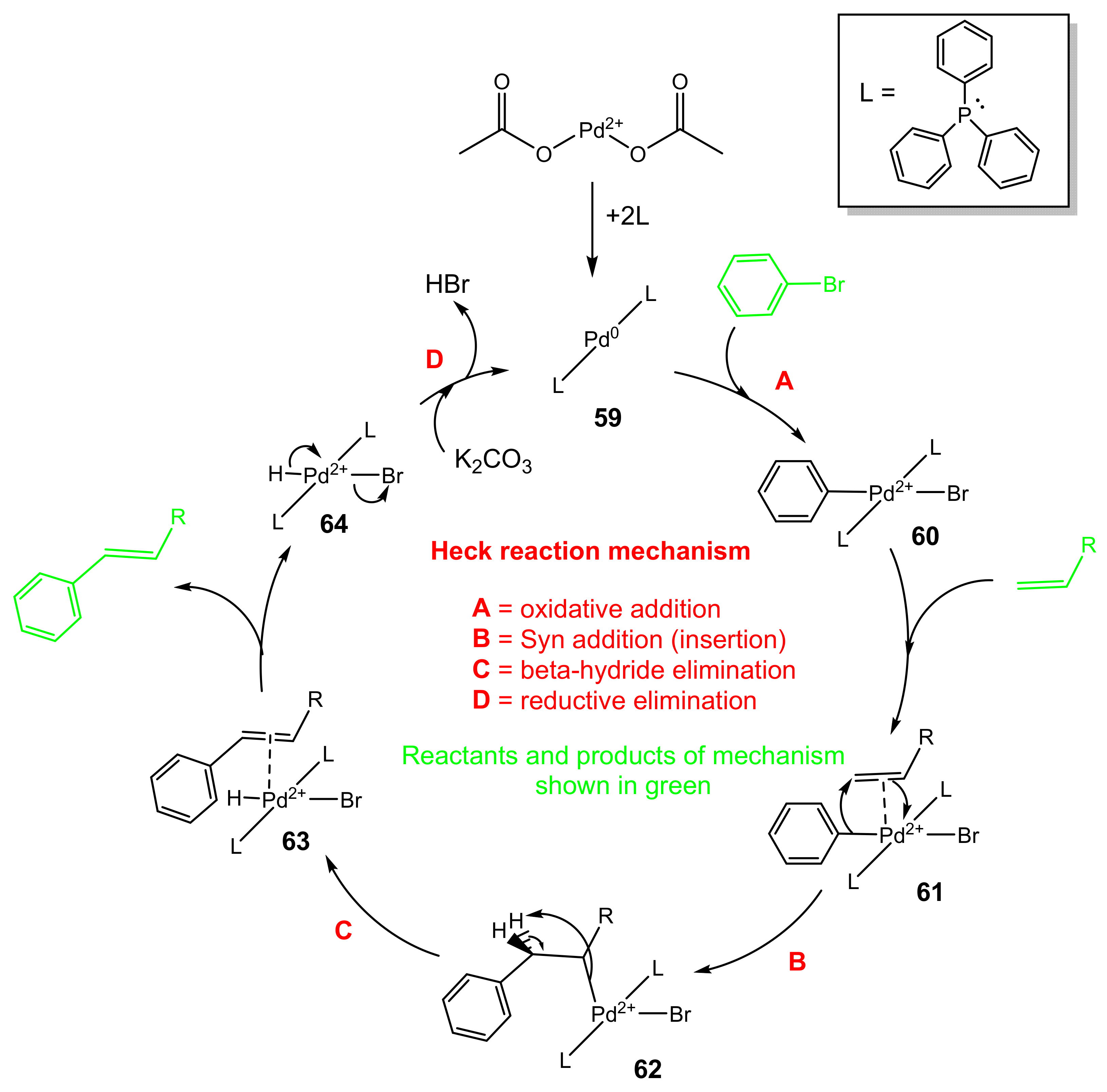 Catalysts 15 00181 g004