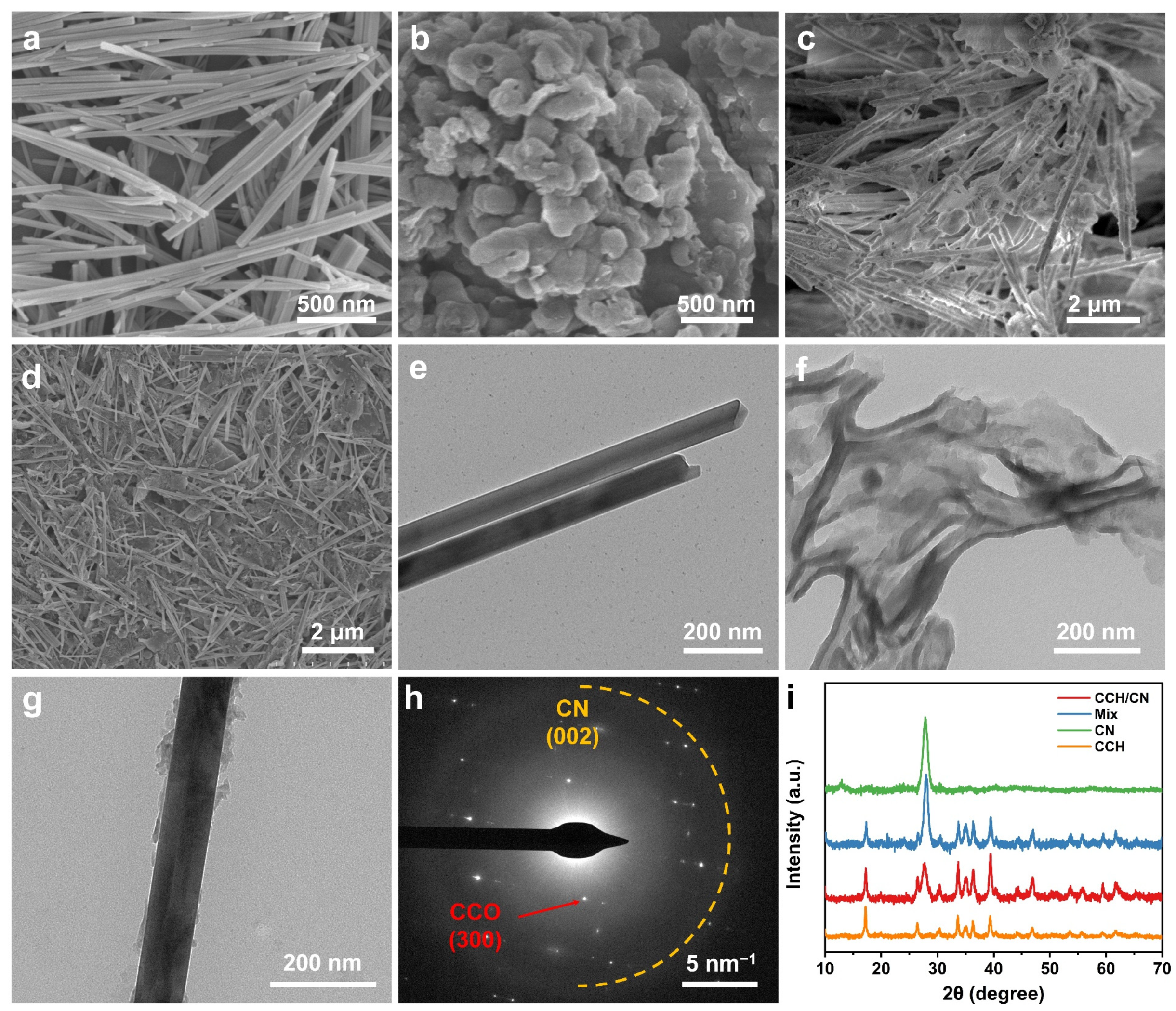 Catalysts 15 00184 g001