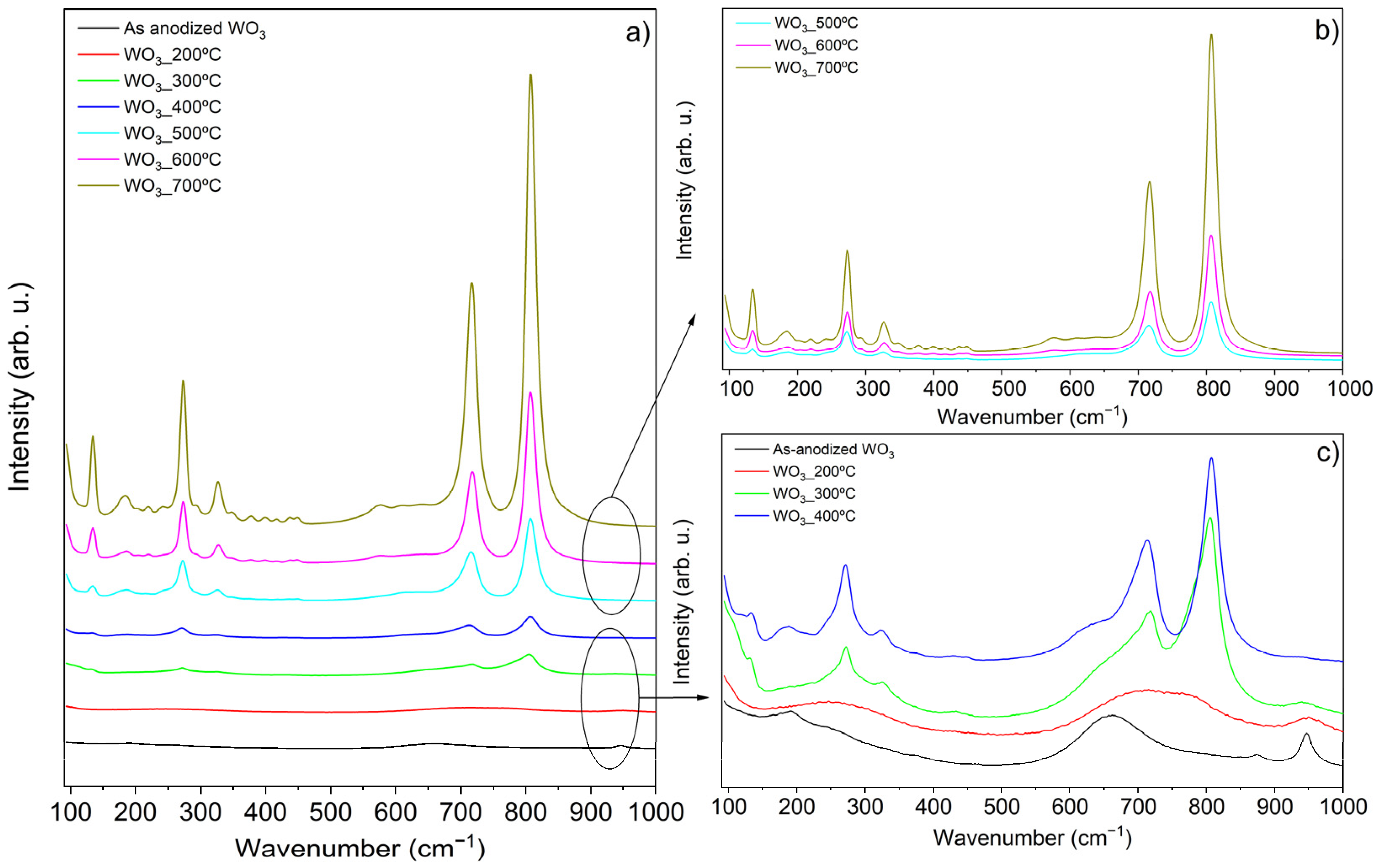 Catalysts 15 00207 g002