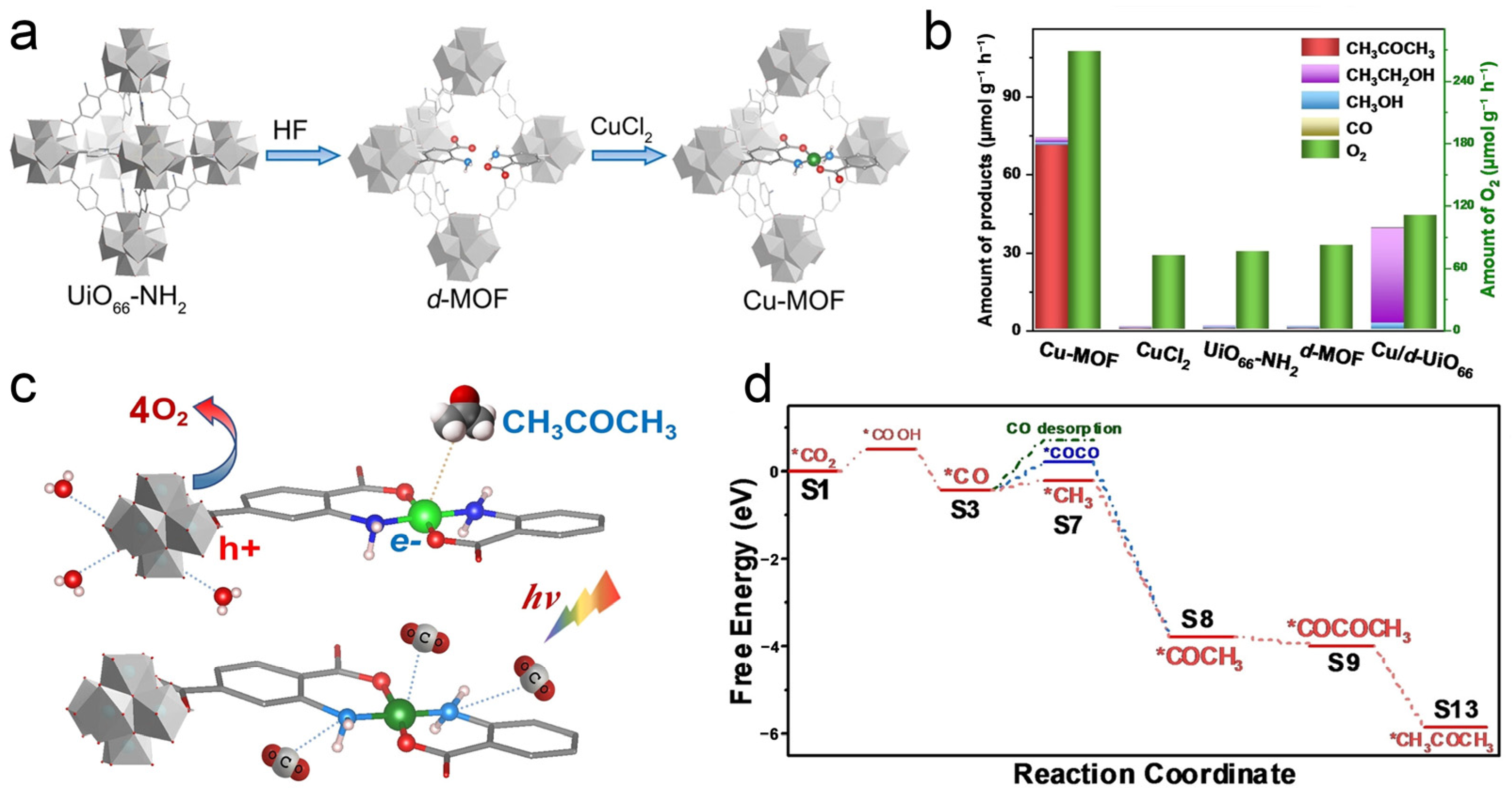 Catalysts 15 00208 g007