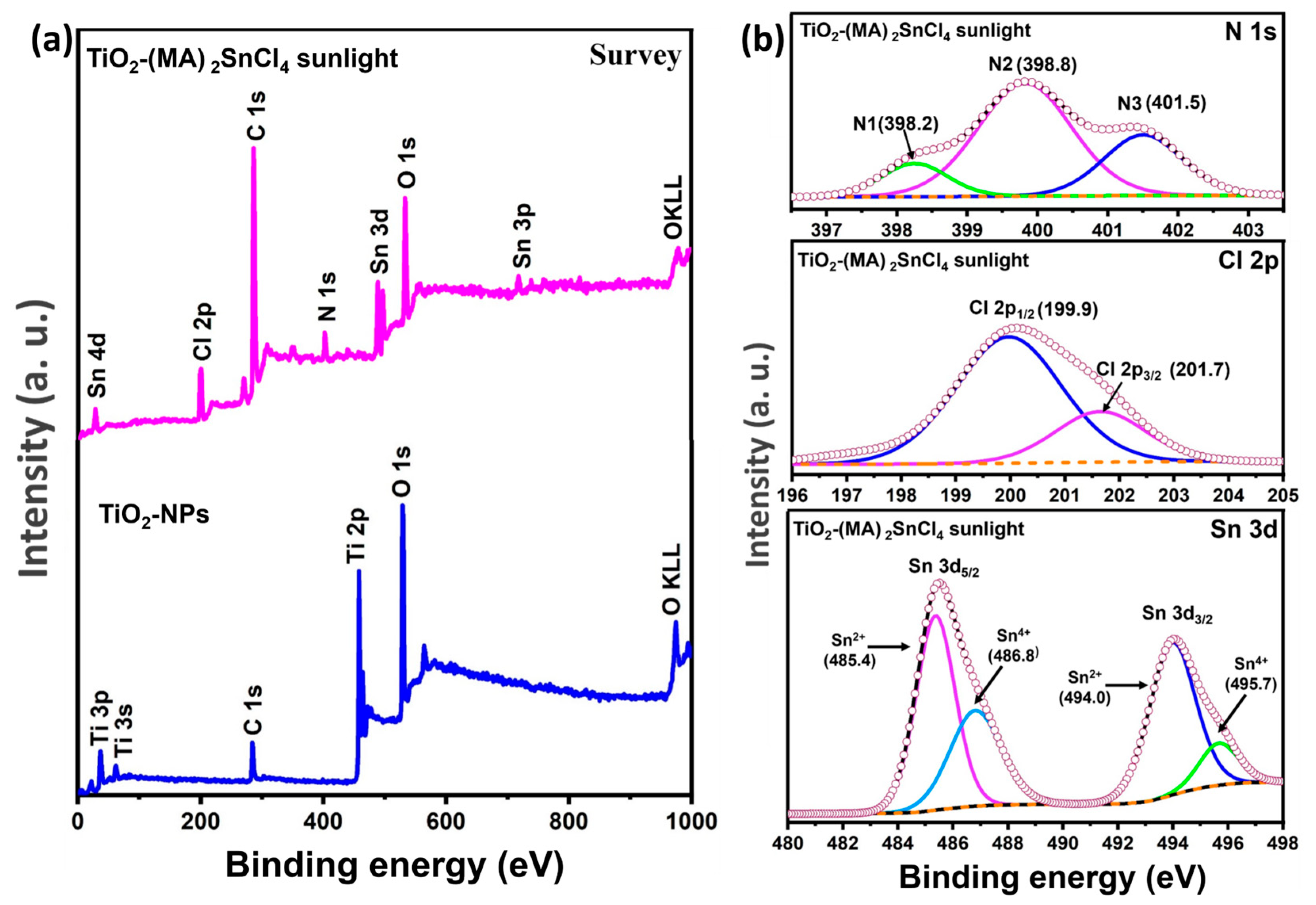Catalysts 15 00214 g002