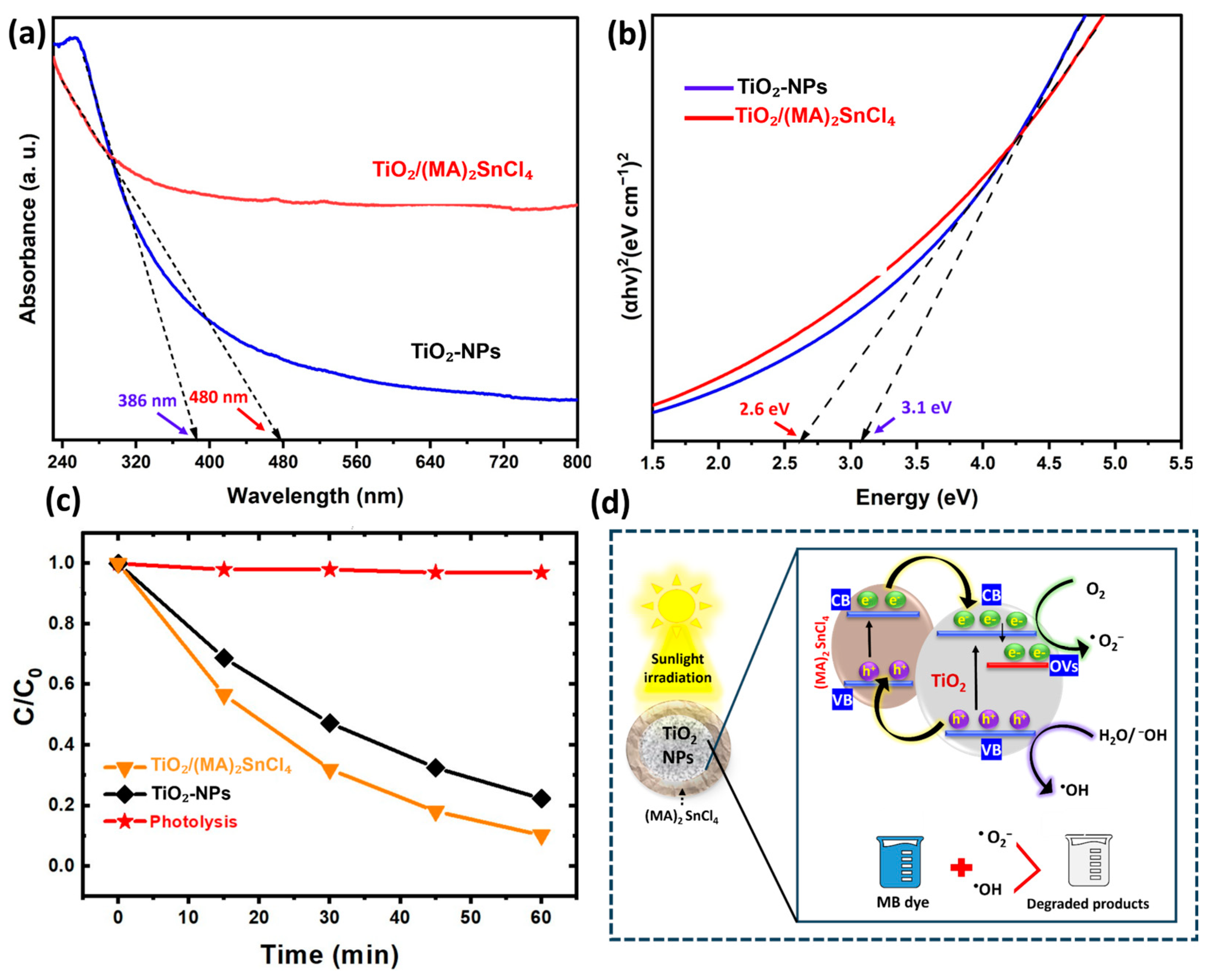 Catalysts 15 00214 g005