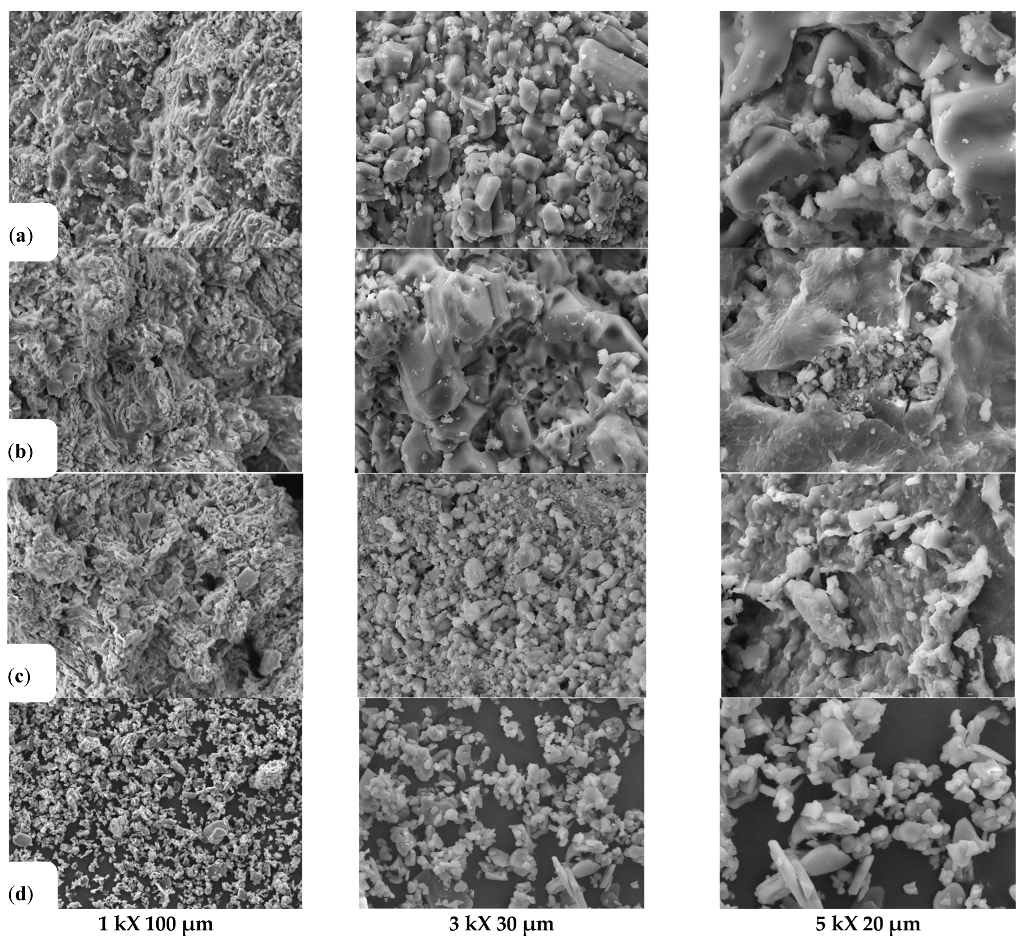 Catalysts 15 00215 g003