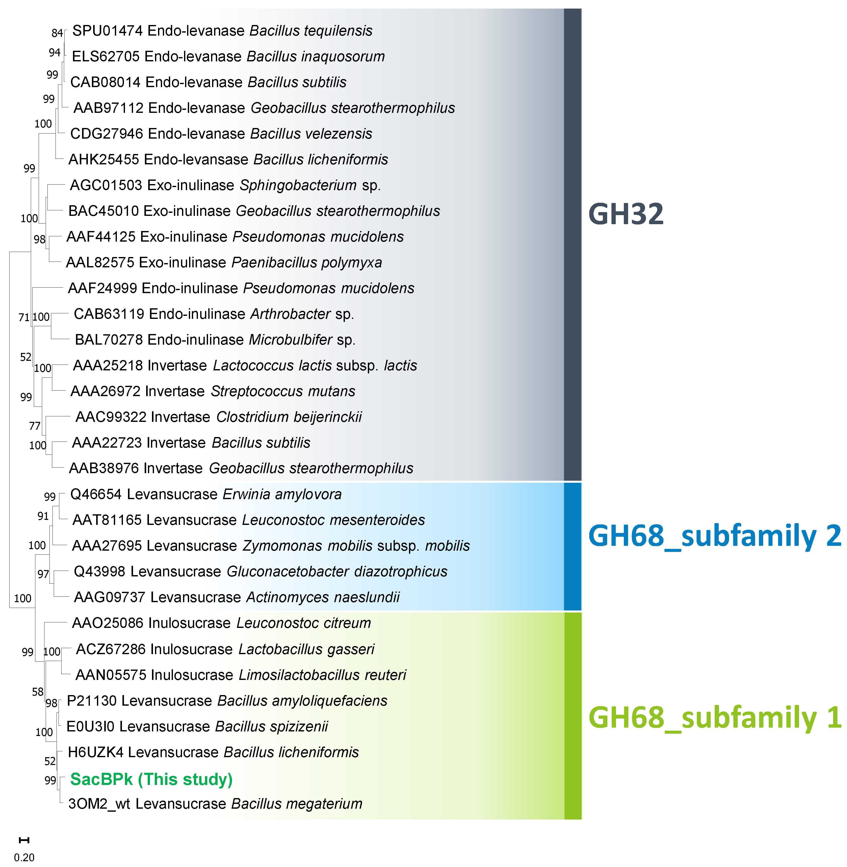 Catalysts 15 00216 g001